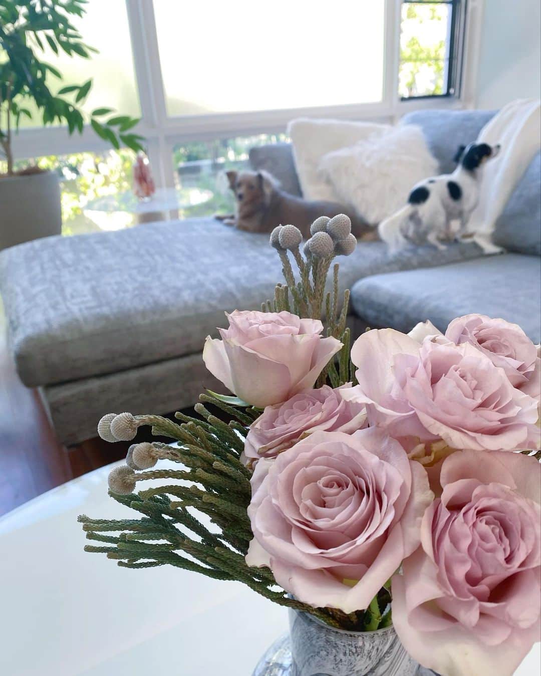 西川瑞希（みずきてぃ）さんのインスタグラム写真 - (西川瑞希（みずきてぃ）Instagram)「💐💐💐  今朝はしあわせすぎる目覚め。頂いたお花たちも綺麗でうっとり。早速花瓶に入れ替えて飾りました//  前回の投稿にたくさんのコメントも、ほんとうに、ほんとうにありがとうございました！皆様からのやさしい。愛いっぱいのメッセージに思わずうるっ。  ひとつひとつのお言葉を全て読ませていただきました💌大切に胸にしまって、また私らしく！笑顔で！ゆるんと！進んでいけそうです！☺︎  土日はみんな何して過ごすのかな〜素敵な週末を過ごせますように！  #mizukiroom #flower #myhome #livingroom #お花のある暮らし #癒し #リビング #リビングインテリア #おうち」11月12日 14時29分 - mizuki_nishikawa_