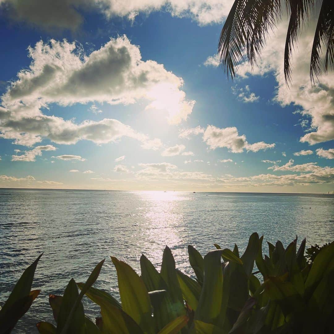 田波涼子さんのインスタグラム写真 - (田波涼子Instagram)「@ludlow_official  のbagがビーチに最適すぎる」11月12日 16時51分 - ryokotanami.idea
