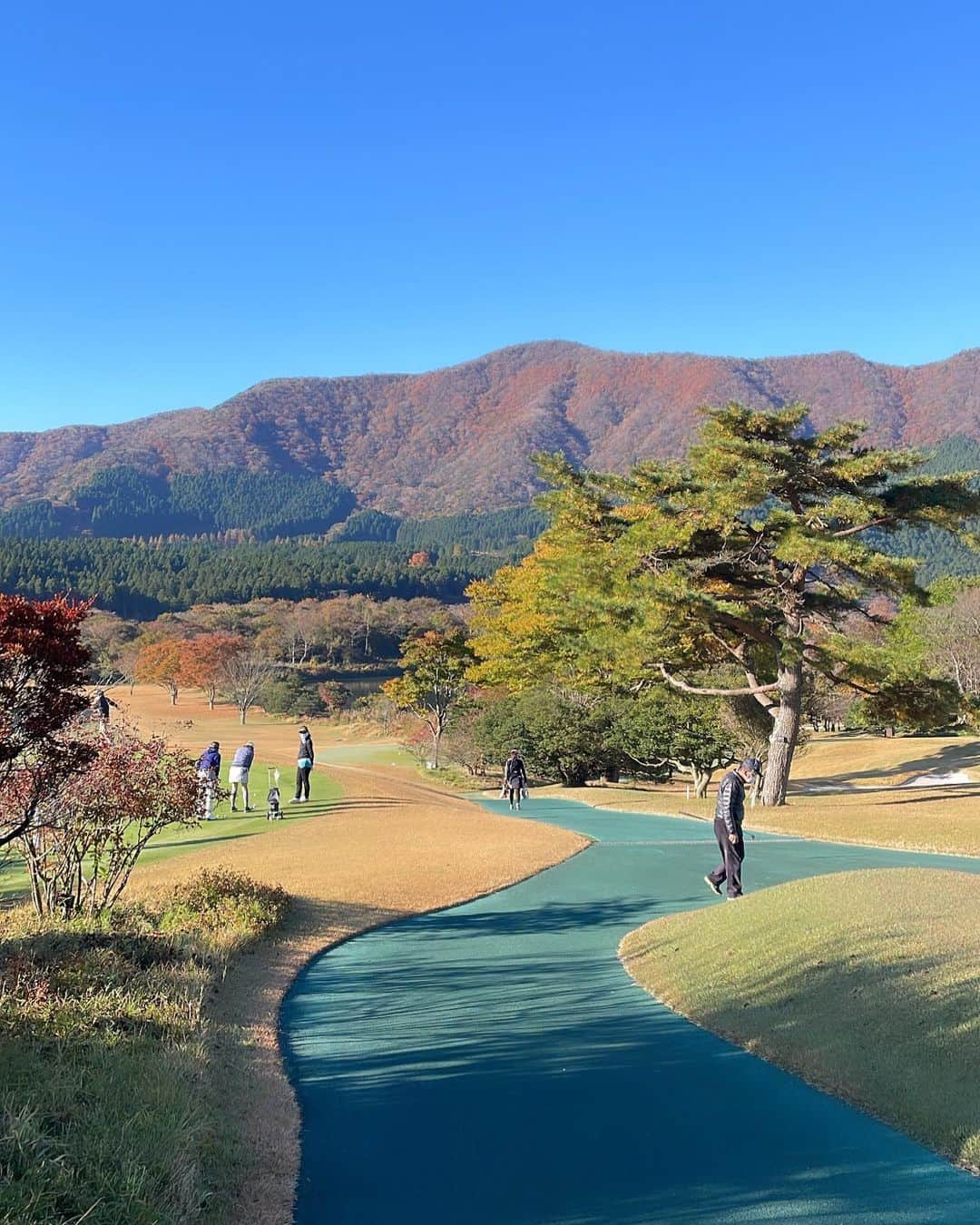 奥山春香さんのインスタグラム写真 - (奥山春香Instagram)「大好きな箱根カントリー行った日🍁🌾 帰り道にひとりでススキみながらよもぎソフトとよもぎ餅食べた😋」11月12日 16時55分 - corvetteharuka