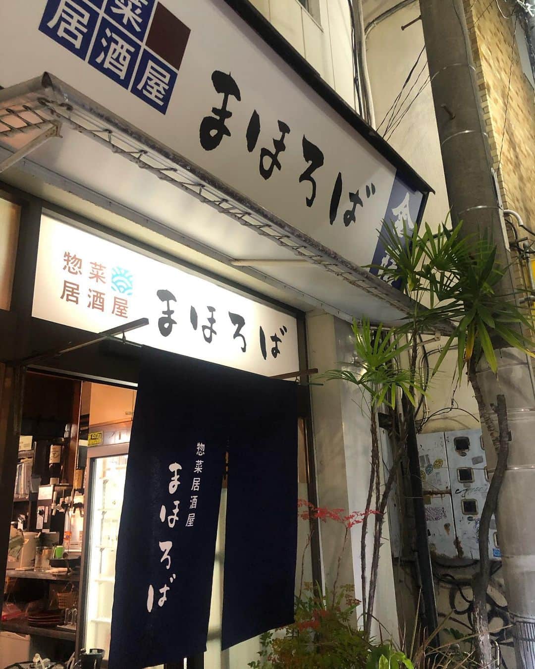 白戸ゆめのさんのインスタグラム写真 - (白戸ゆめのInstagram)「🍴 . 里帰りの思い出🥰 おいしいものばっかり笑 ストーリーに載せたものもまとめます✨ みんなぜひ香川行く時の参考にしてくださいね🎶 . #まほろば #ぶた汁 #善や #釜揚げうどん #さぬき麺業 #天ざるうどん #香川　 #讃岐グルメ #香川グルメ #ゆめグル」11月12日 22時45分 - yumeno.s_