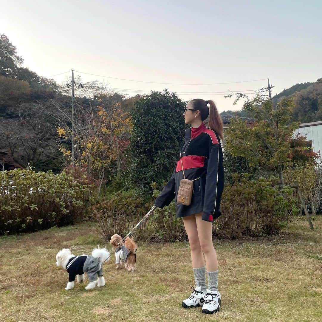 中町綾さんのインスタグラム写真 - (中町綾Instagram)「ワンワン秋の修学旅行🐶」11月13日 17時43分 - ayanakamachi