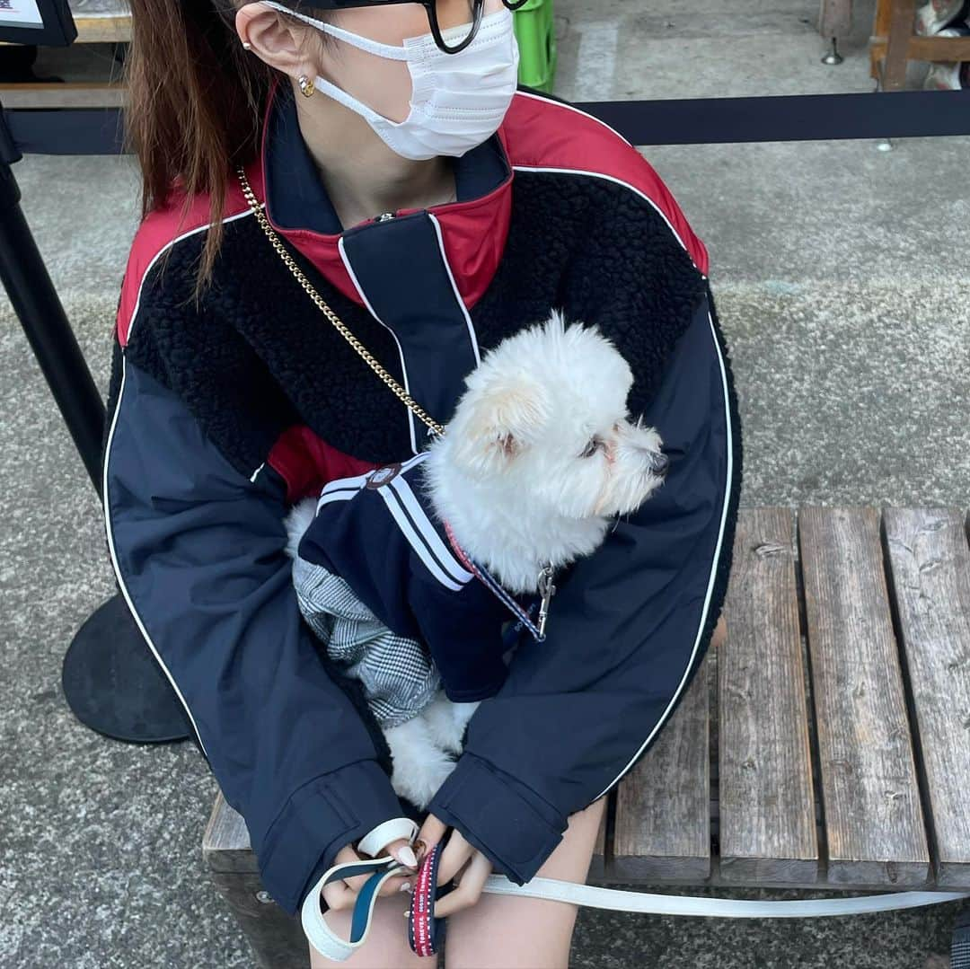 中町綾さんのインスタグラム写真 - (中町綾Instagram)「ワンワン秋の修学旅行🐶」11月13日 17時43分 - ayanakamachi