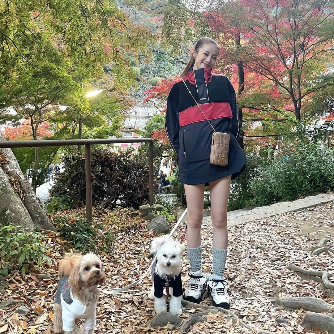 中町綾さんのインスタグラム写真 - (中町綾Instagram)「ワンワン秋の修学旅行🐶」11月13日 17時43分 - ayanakamachi