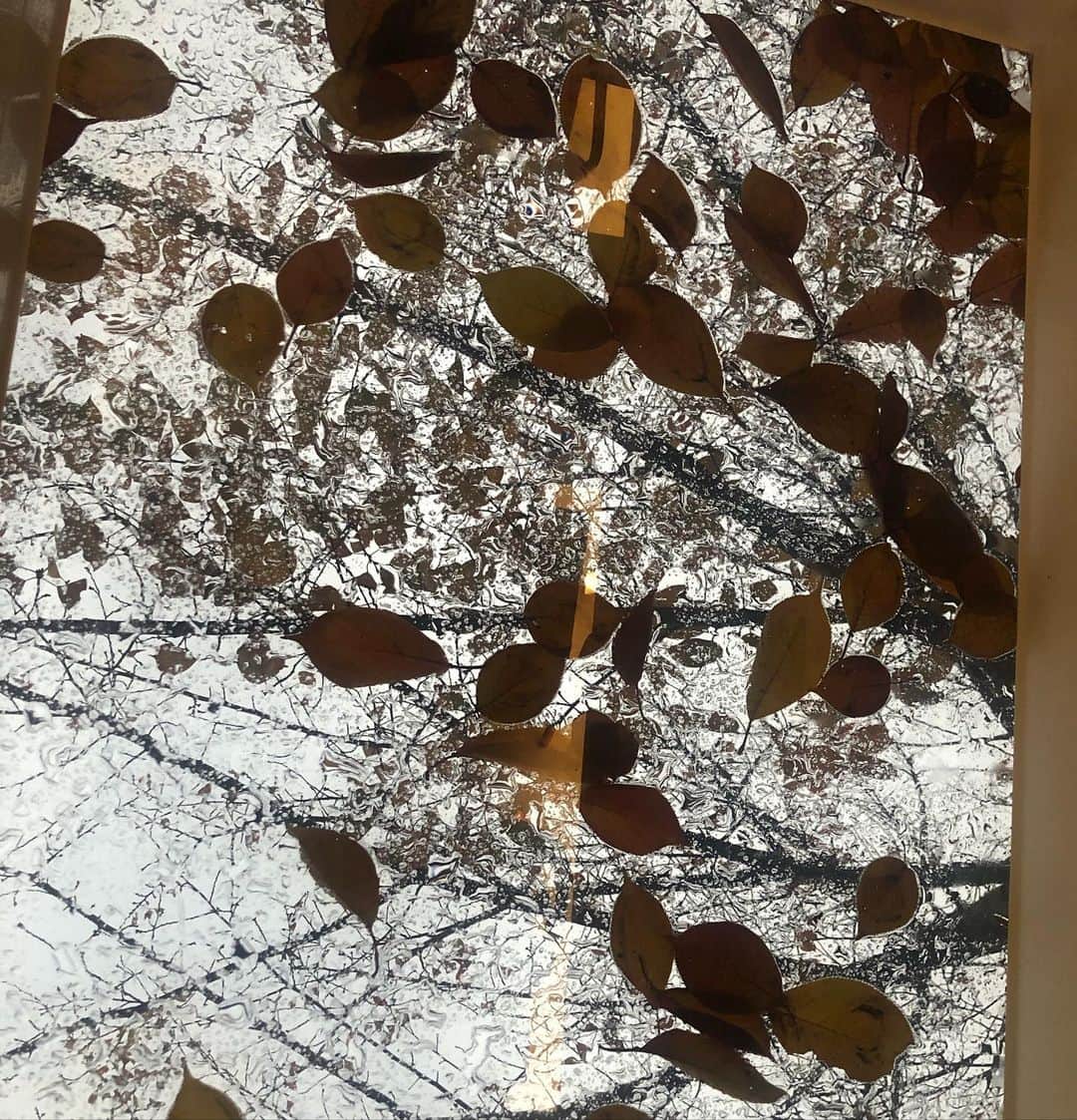 クォン・シヒョンさんのインスタグラム写真 - (クォン・シヒョンInstagram)「가을이 지나간다 🍂」11月13日 17時55分 - rnjs28