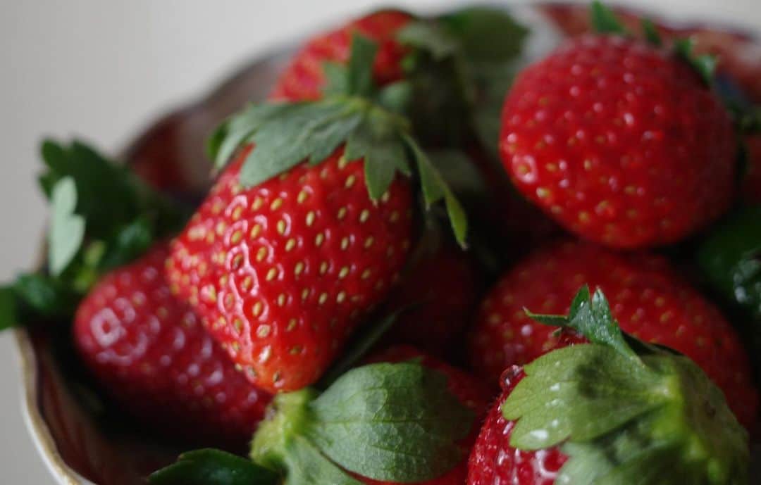高垣麗子さんのインスタグラム写真 - (高垣麗子Instagram)「* 今朝はいちごを食べてから出発しました  いつの間にか🍓いちごが並ぶ季節になったのですね𓂃 私のポーチは年中いちごです🍓  皆さんも良い一日を😚  * #いちご #strawberry #🍓」11月14日 9時27分 - reikotakagaki