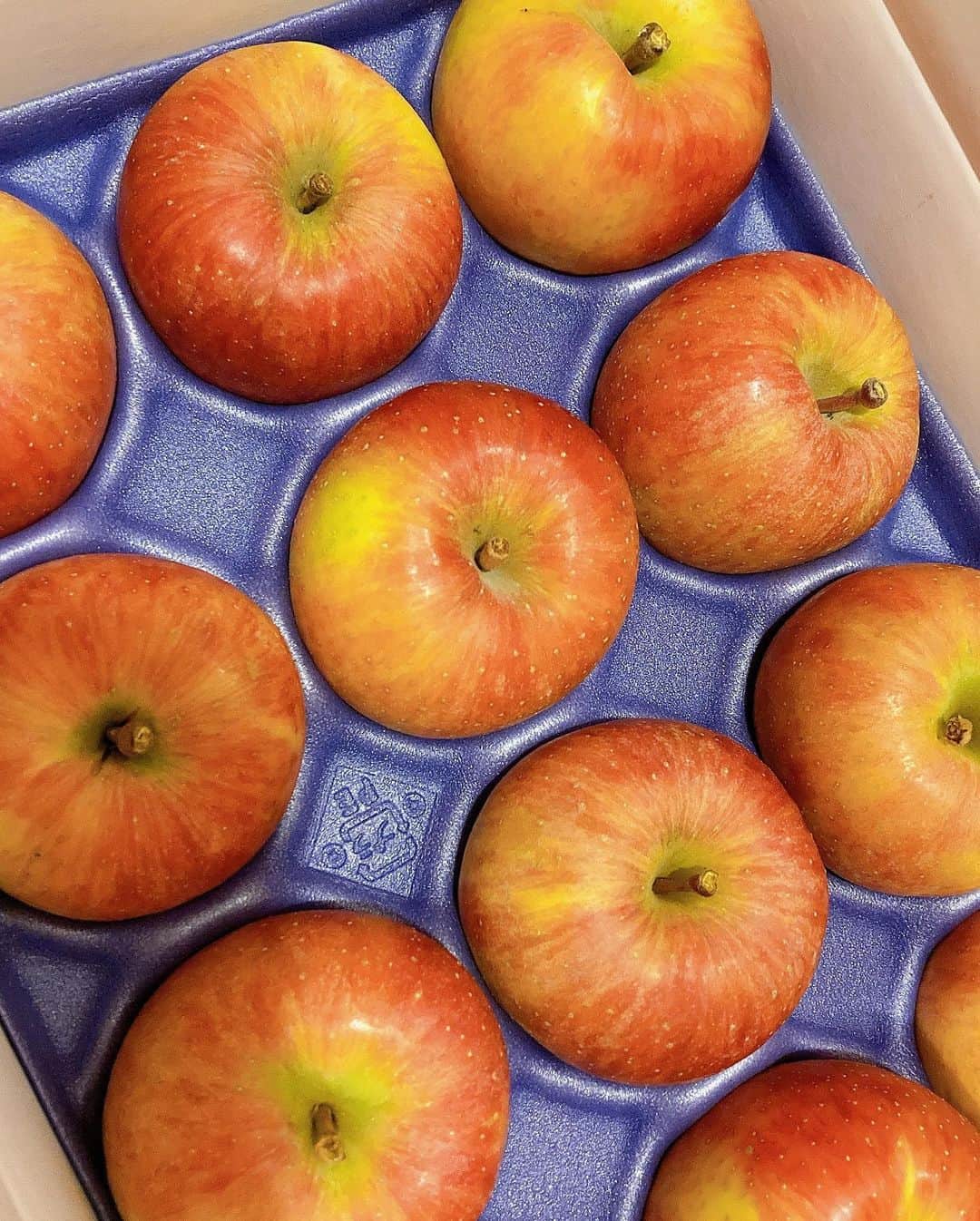 石川彩夏さんのインスタグラム写真 - (石川彩夏Instagram)「今年も #アップルファーム宍戸 さんの リンゴが自宅に来ました😭💓 ありがとうございます🙌💕  アップルファーム宍戸さんのリンゴは 蜜が凄いんです🍯（２枚目）  こんなに蜜がたっぷりなので 宅配の方に「すごいいい香りしますね！？」と言われるほど いい香りもします🥰💕  ここのリンゴを食べてしまうと 東京で売ってるリンゴが食べられなくなってしまうので。笑 アップルファーム宍戸さんのリンゴは リンゴだけどリンゴじゃないフルーツと 思うようにしてます。笑  今週はお仕事がバタバタウィークなので☺️✨ フルーツからたっぷり栄養もらって 頑張ります☺️💕  金曜日は#ウマきゅん なので 金曜日は一緒に大井競馬楽しみましょう💓 宜しくお願いします🥰  #りんご #林檎 #福島グルメ #福島野菜 #福島フルーツ」11月15日 16時06分 - ayaka0711zi