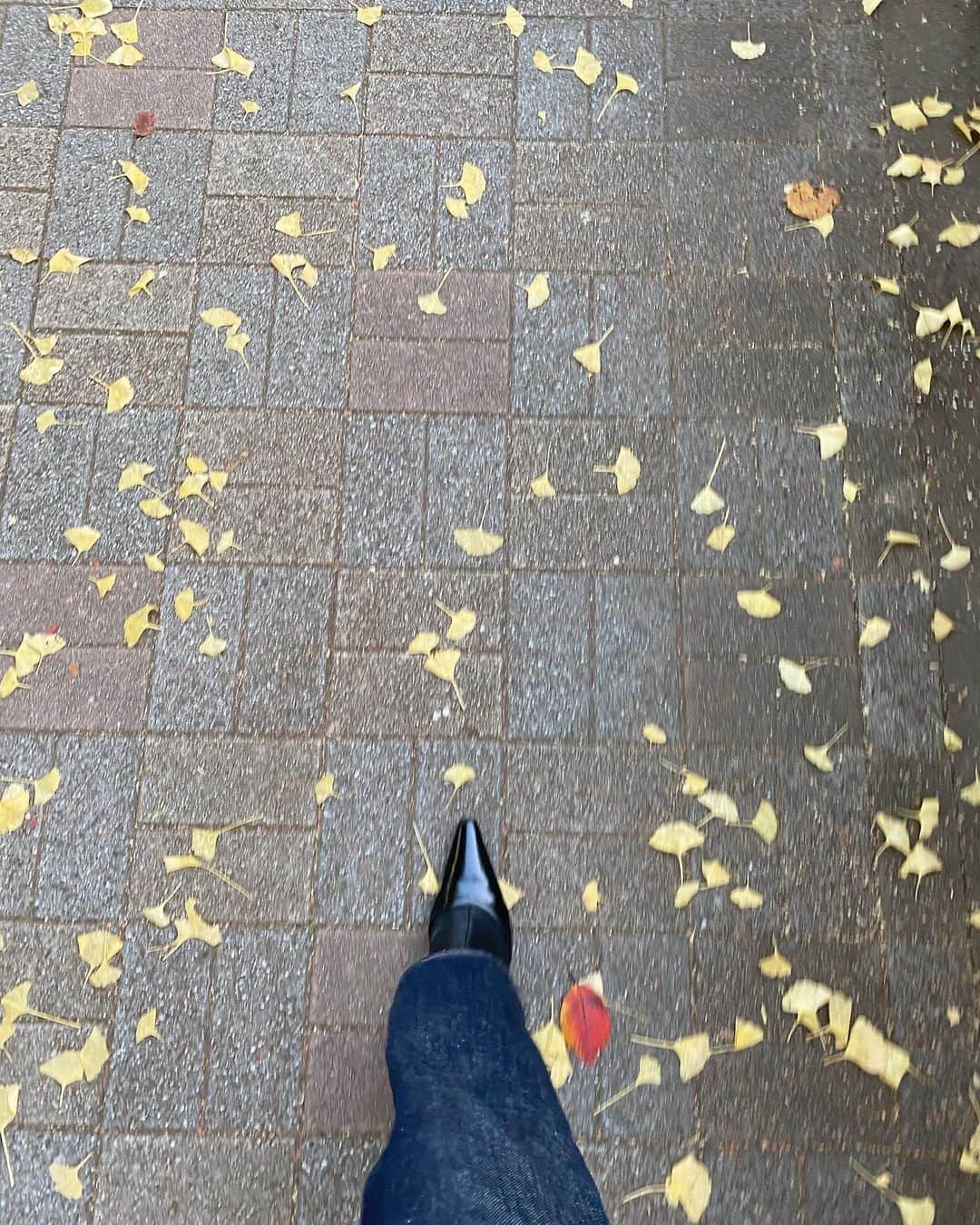 梅澤美波さんのインスタグラム写真 - (梅澤美波Instagram)「秋は足元もすきです、色づきが🍂 ⁡ #うめのふく #umegram」11月15日 19時53分 - ume_minami.official