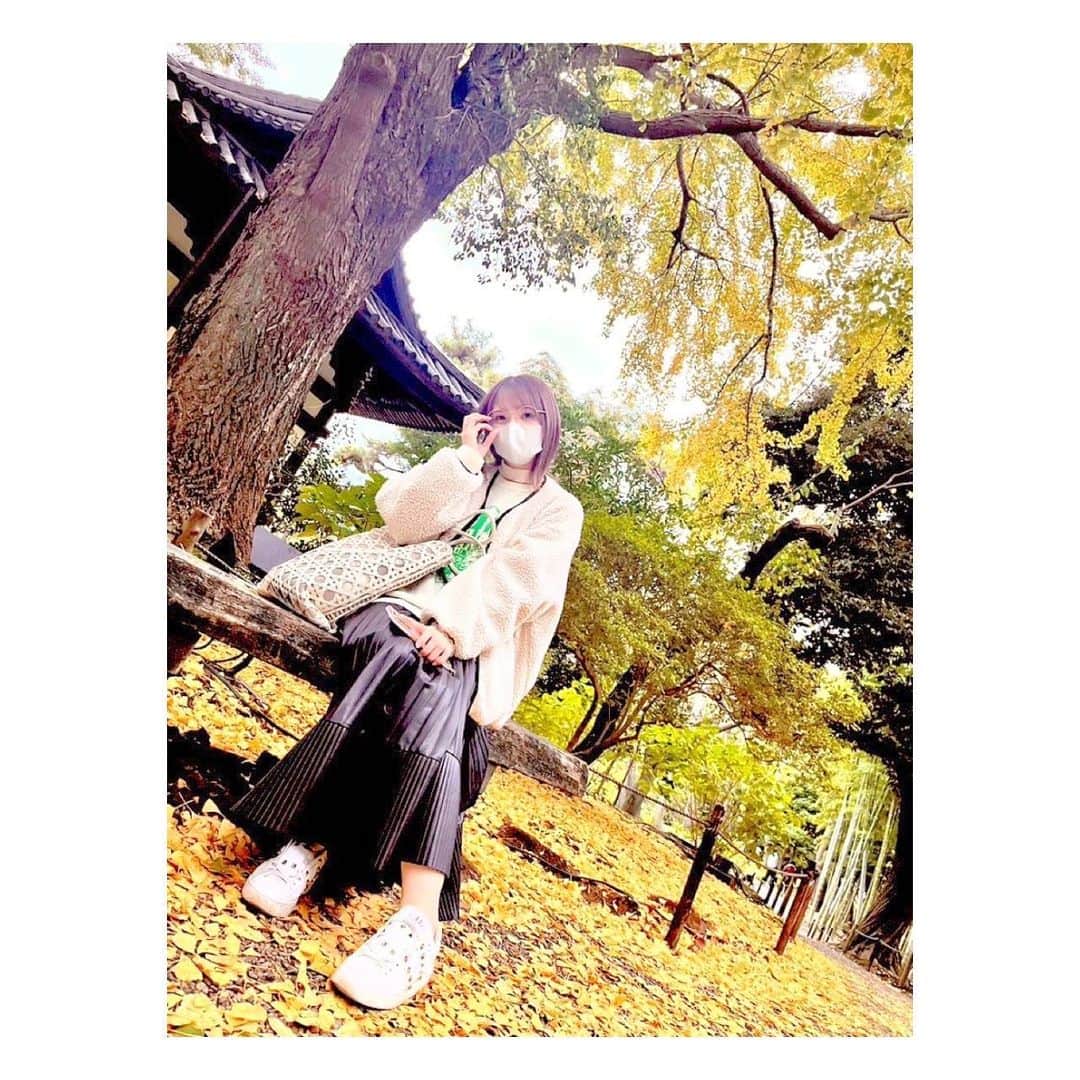 鬼頭明里さんのインスタグラム写真 - (鬼頭明里Instagram)「秋だねえ🌾🍁」11月16日 1時56分 - akarikito1016