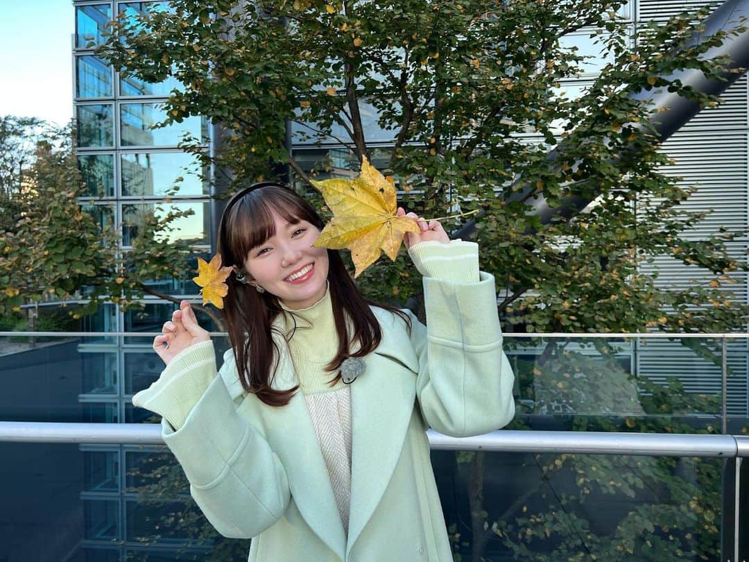 マーシュ彩さんのインスタグラム写真 - (マーシュ彩Instagram)「秋です🍁 マイスタも少しずつ葉の色が変わってきました。☺︎」11月16日 14時00分 - ayamarshofficial