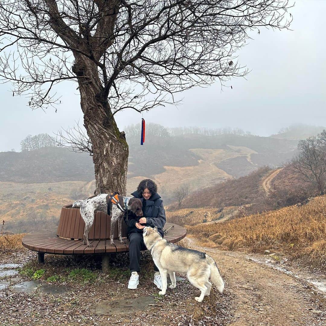 キム・ソンリョンさんのインスタグラム写真 - (キム・ソンリョンInstagram)「아루~ 해리~ 엄마아빠한테만 가뇨~ 난 간식 들고 꼬심🤣」11月16日 18時36分 - sungryoung_kim
