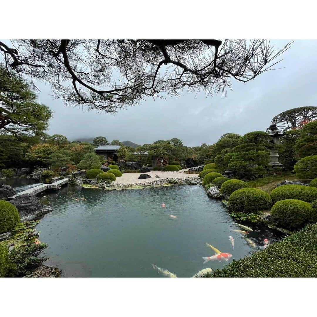 桜木梨奈さんのインスタグラム写真 - (桜木梨奈Instagram)「島根旅行記~安来篇~  2022.11.5  雨。  松江市から東にある安来市に向かいました。  #足立美術館 へ  ここには #横山大観 氏を中心とした日本画家の作品や #北大路魯山人 氏の陶芸品、童画、彫刻などなど数多くの芸術品のコレクションが展示されております。  そして創始者 #足立全康 氏は91歳でお亡くなりになるまで心血注いで作った日本庭園が注目スポット！  ~しまね観光ナビの記事より~ アメリカの日本庭園専門誌『Sukiya Living Magazine： The Journal of Japanese Gardening（数寄屋リビングマガジン／ジャーナル・オブ・ジャパニーズ・ガーデニング）』より、全国の日本庭園約1000か所を対象に実施した「2021年日本庭園ランキング」が発表され、安来市にある足立美術館の日本庭園が「19年連続日本一」に選ばれました！  19年連続1位って凄い‼️ 窓が額縁となり、大スケールの日本絵画を眺めているようでしたよ。  外の渡り廊下へ出ると、雨模様が庭園の黒石を艶めかせ、苔や木々の匂いが漂い、自分も作品の中へと入り込んだみたいです😌  #島根旅行 #安来市 #日本庭園 #japanesegarden #枯山水 #枯山水庭園 #枯山水庭 #japan #侘び寂び」11月17日 3時32分 - rina_sakuragi