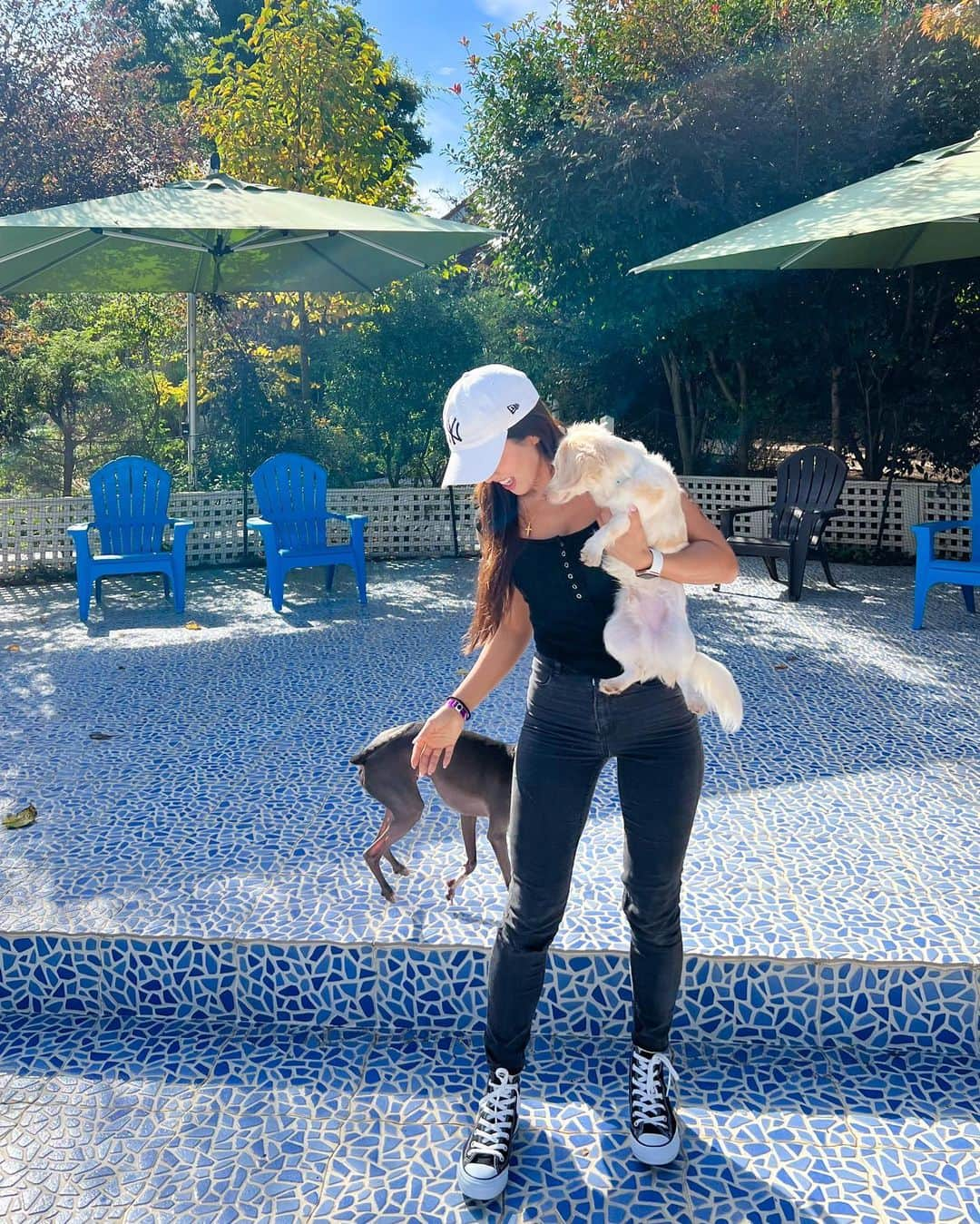 Azusaさんのインスタグラム写真 - (AzusaInstagram)「愛犬たちに癒される休日🥰  犬友達のみんなもいつも私の競技を応援してくれていて幸せです☺️」11月17日 20時30分 - az.dancy