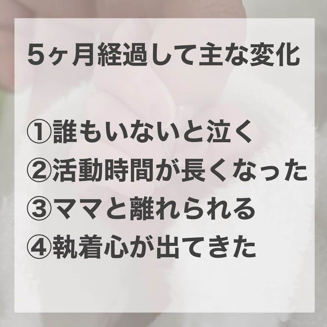 酒井蘭さんのインスタグラム写真 - (酒井蘭Instagram)「#生後5ヶ月 #成長レポ  あっという間に気が付いたら生後5ヶ月になってました😂💦  もう長女も次女も生まれ日が14日なので 忘れる事ないと思っているのに毎月15日になって あ！昨日で○ヶ月だ！って毎月焦ってます😂  もう寒くなってきたけどみなさん体調に気を付けてくださいね🥺  #女の子ベビー #出産レポ#0歳児保育 #赤ちゃんのいる生活 #赤ちゃんのいる暮らし #子育て #子育て日記 #育児日記 #育児日記帳」11月18日 17時38分 - ransakai0313