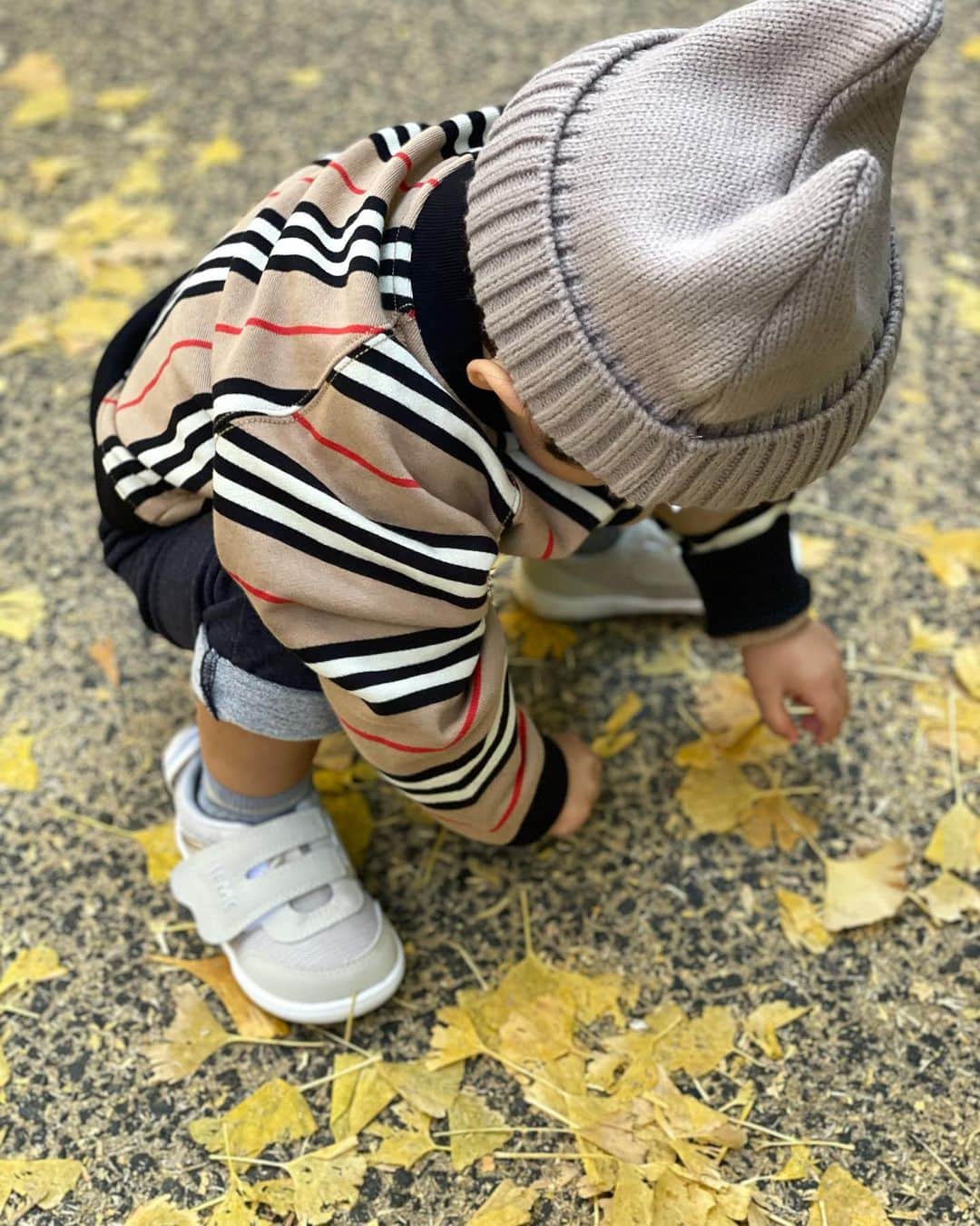 葉加瀬マイさんのインスタグラム写真 - (葉加瀬マイInstagram)「最近は言葉をたくさん話せるようになって色も覚えました😊「きいろー、はっぱ、はっぱ」と言いながら楽しそうに遊んでました🍁❤️  #1歳8ヶ月　#男の子ママ」11月19日 14時09分 - m.hakase