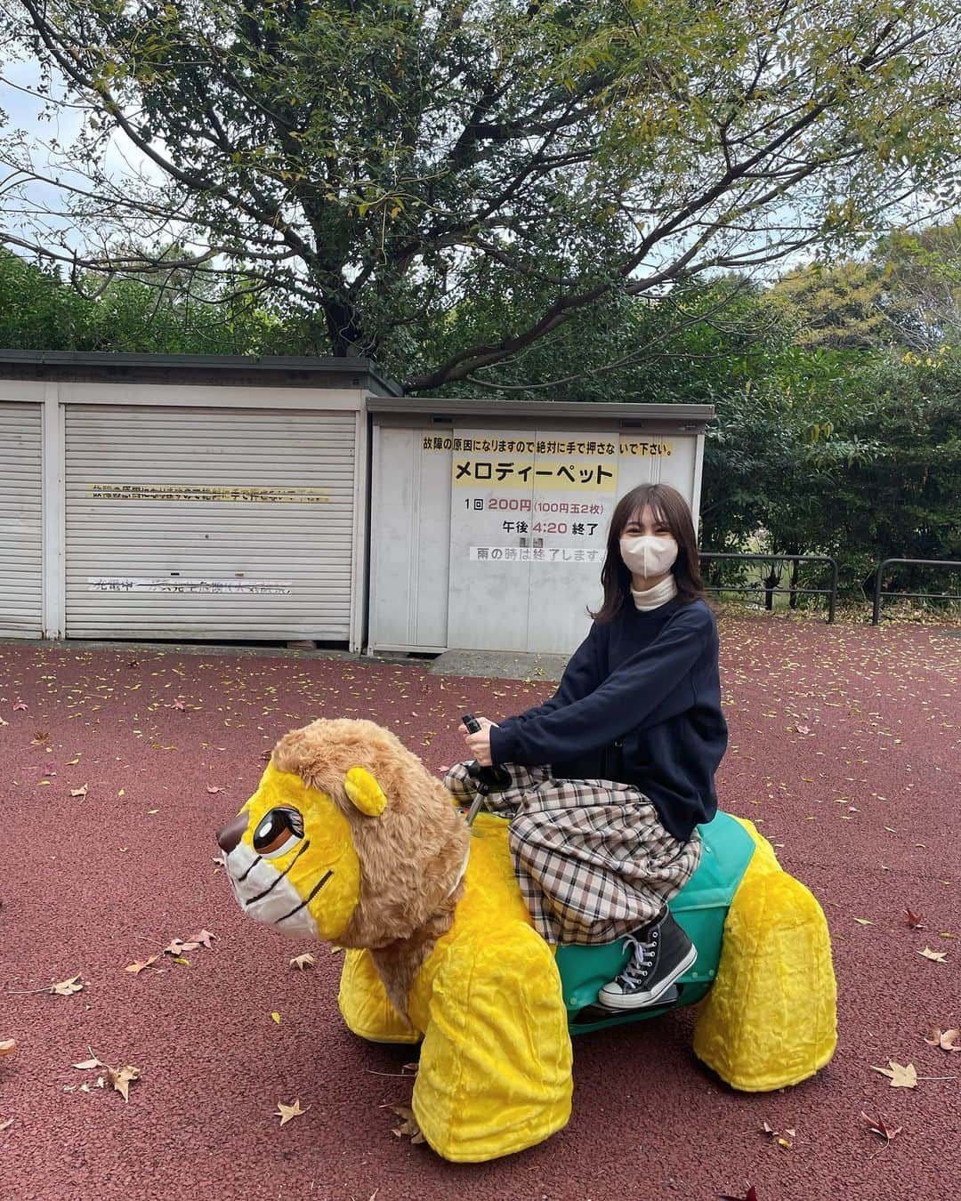 安村真奈さんのインスタグラム写真 - (安村真奈Instagram)「動物園に行ってきました！ 涼しくて動物たちも可愛くて楽しかった~🥺 乗り物があるとつい乗ってしまうのでシリーズ化しようと思います^ ^ 次は何に乗ろうかな！！  #安村真奈 #動物園 #まなの乗り物シリーズ」11月19日 21時37分 - yasumura_mana