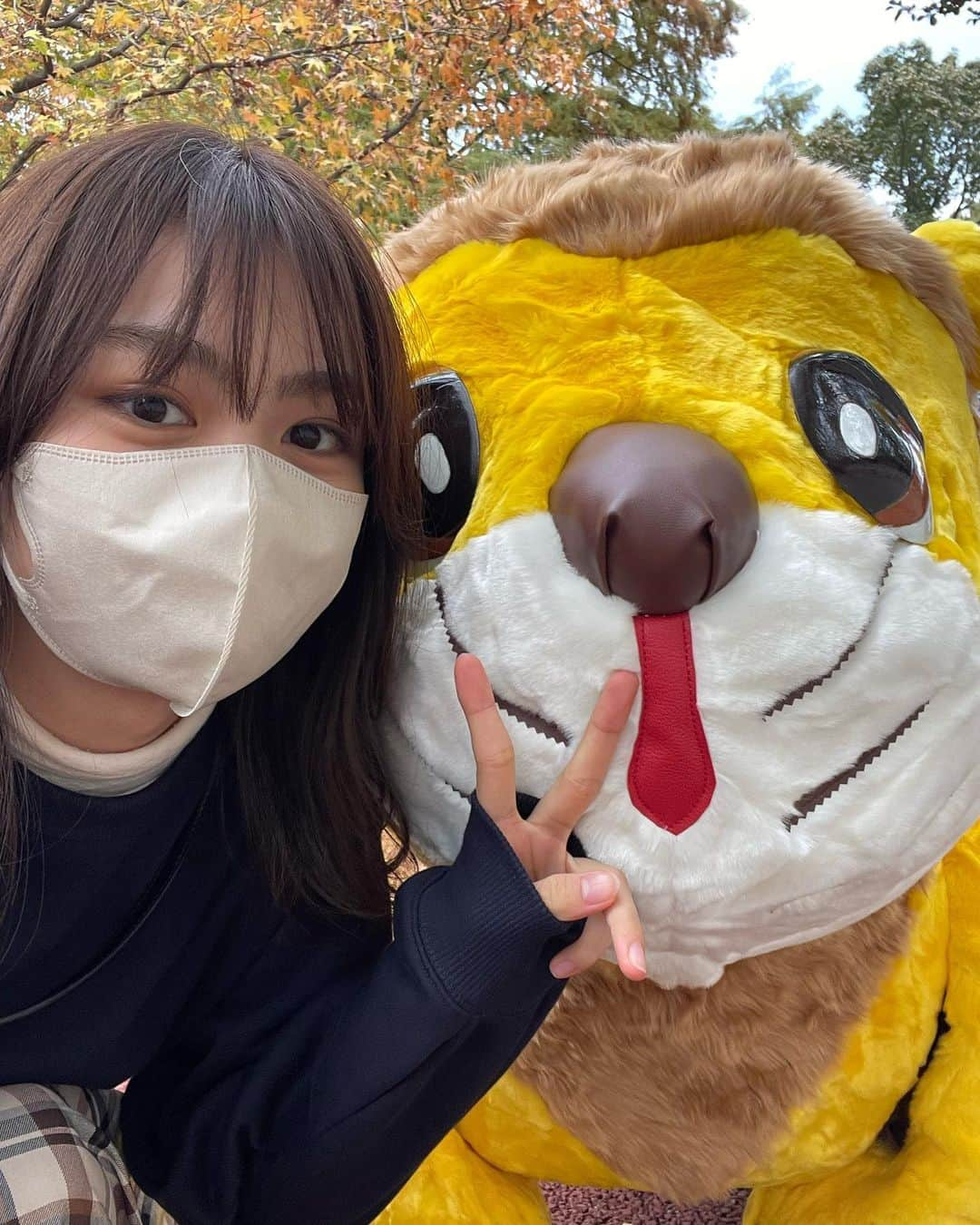 安村真奈さんのインスタグラム写真 - (安村真奈Instagram)「動物園に行ってきました！ 涼しくて動物たちも可愛くて楽しかった~🥺 乗り物があるとつい乗ってしまうのでシリーズ化しようと思います^ ^ 次は何に乗ろうかな！！  #安村真奈 #動物園 #まなの乗り物シリーズ」11月19日 21時37分 - yasumura_mana