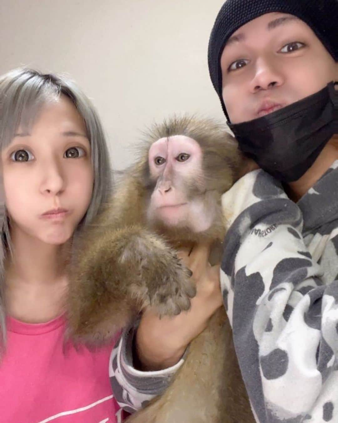 あきるなさんのインスタグラム写真 - (あきるなInstagram)「もぐもぐ🐵 . . . #サル #ニホンザル #ペット #ペットのいる生活 #特定動物 #ふわもこ部 #多頭飼い #猿 #珍獣 #エキゾチックアニマル #動物 #アニマル #セルフィー #ご飯タイム #バナナ #自撮り #キャバ嬢 #ギャル #あきるな #animal #animals #animalsofinstagram #monkey #pet #petlover #japanmonkey #cute #selfie #me #couple」11月20日 11時46分 - runaruna1226