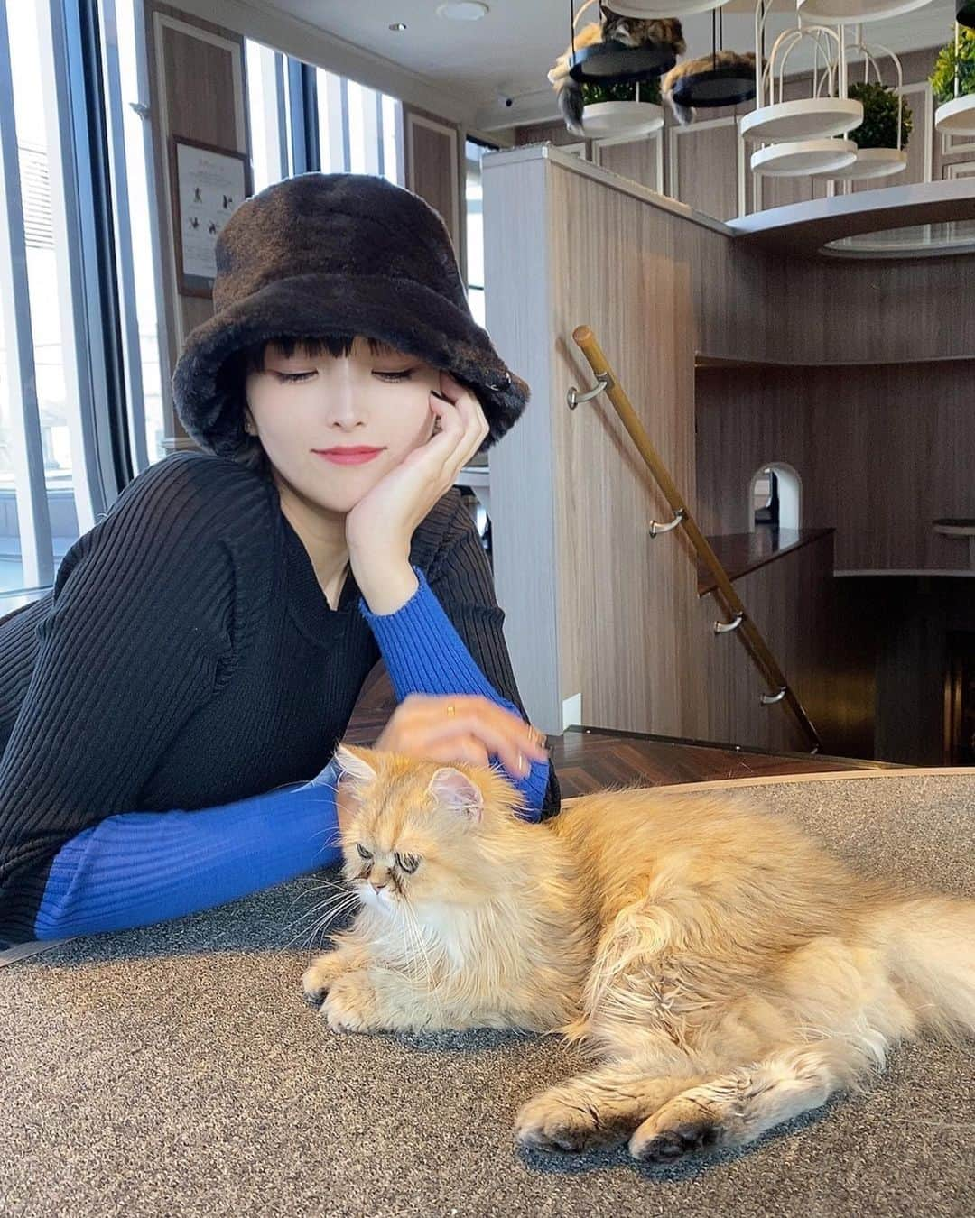 ききまるさんのインスタグラム写真 - (ききまるInstagram)「猫カフェ🐈‍⬛ . ぴちゅさんに誘われて猫カフェに行ってきました〜✨　@pichu921  . 猫カフェで一番有名な @catcafemocha  の渋谷センター街店に 【 @mocha.shibuya ❤︎】  . チュールアイス(おやつ)は500円で購入しました🐾 一時的に人気者になれます💖 . フラ〜と手ぶらで行けるのがありがたい🤲🏻荷物は入口のロッカーに預けて室内はスリッパでリラックス。猫の毛が服についた時用のコロコロなんかも置いてありました✨ . そして日当たりが良くて気持ちいい〜 猫ちゃんたちと日向ぼっこができる幸せスポットです！！☀️ 猫好きの皆様、、、是非！！！ . 他の猫様と交流なんかしたら 「茶々が嫉妬しちゃう〜(照)」 とか思ってたけど帰宅時茶々氏は全く無反応でした〜🐈　@chachagram_01  . . . .  ------------------------------  💠@kikigram_97 ←インスタ歴10年フォロワー43万人 💠-13kgダイエット成功リバウンド無し (ハイライトにまとめてあります) 💠1997.08.21 168cm 💠骨格ウェーブandナチュラル　イエベ秋 💠猫と犬との幸せな暮らし 💠事務所無所属(フリーランスインフルエンサー) →お仕事ご依頼はDMにて📩🤲🏻 💠TikTok♪、Twitter🕊も 💠KADOKAWAさんから写真集発売中 ！ 詳しくはプロフィールのURLから . フォロー、保存、コメント喜びます✨      　@kikigram_97   ----------------------------- .  . #猫カフェ　#猫カフェmocha #猫カフェモカ #渋谷カフェ　#渋谷デート　#渋谷で #shibuya #shibuyacrossing #tokyo #tokyo_japan #渋谷猫カフェ　#東京猫カフェ　#デートスポット　#東京デートスポット　#東京デート　#東京おでかけ　#猫好きさんと繋がりたい #猫好き女子 #猫好きな人と繋がりたい #pr」11月20日 13時17分 - kikigram_97