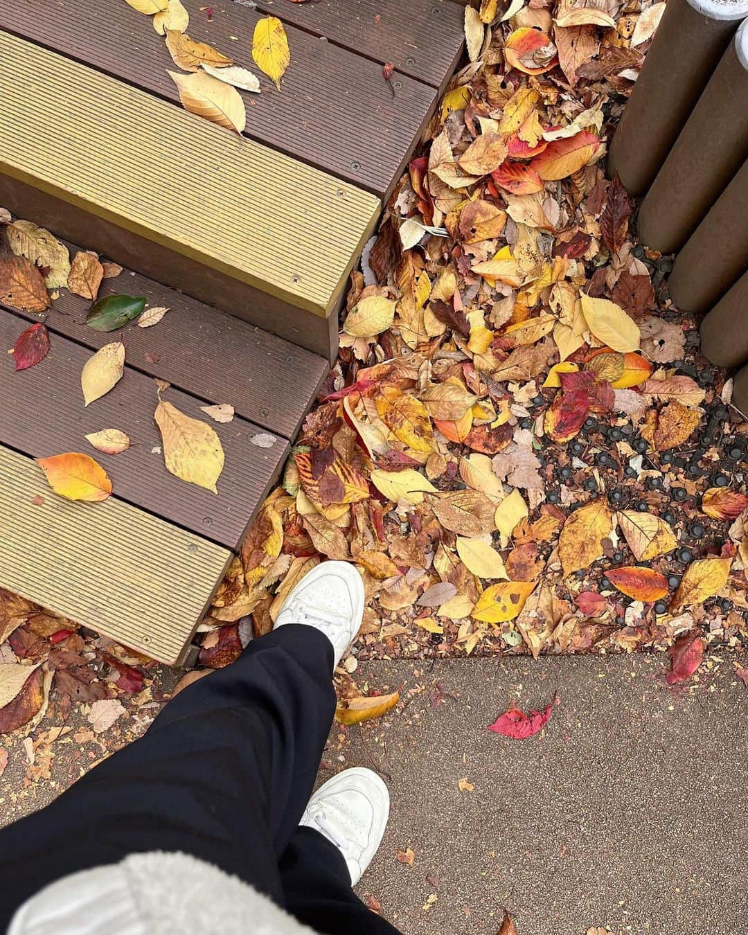 松村未央さんのインスタグラム写真 - (松村未央Instagram)「dayoff🍁 サクッと朝のお出かけ🍂 パパがいるときはママよりパパな娘👧🏻 一枚目はそんな娘が撮ってくれました♡  #雨が降る前に #朝の散歩 #良い時間でした♡」11月20日 15時02分 - mio.matsumura_