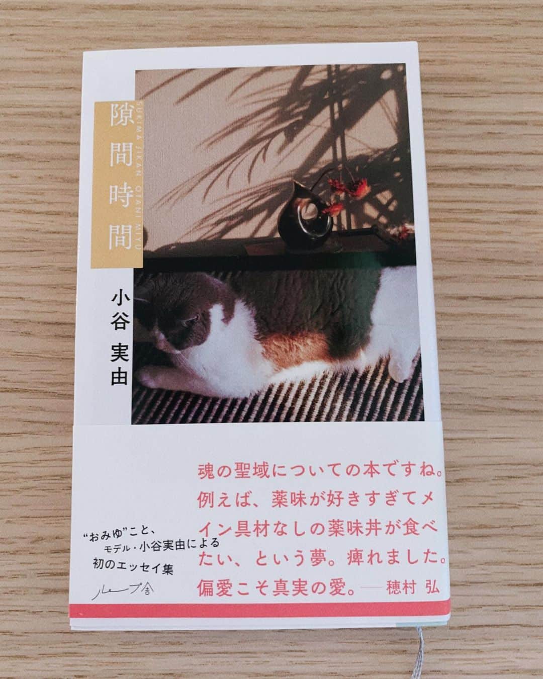 吉岡里帆さんのインスタグラム写真 - (吉岡里帆Instagram)「🧚‍♀️  #最近の本棚」11月20日 19時34分 - riho_yoshioka