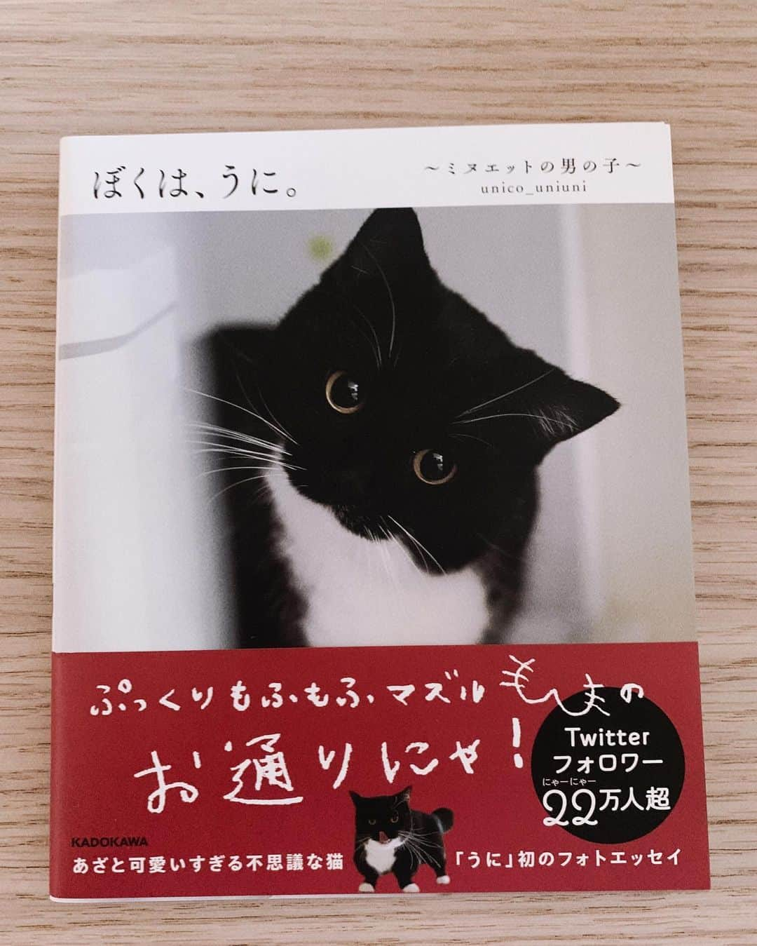 吉岡里帆さんのインスタグラム写真 - (吉岡里帆Instagram)「🧚🏻‍♂️  #最近の本棚」11月20日 20時34分 - riho_yoshioka