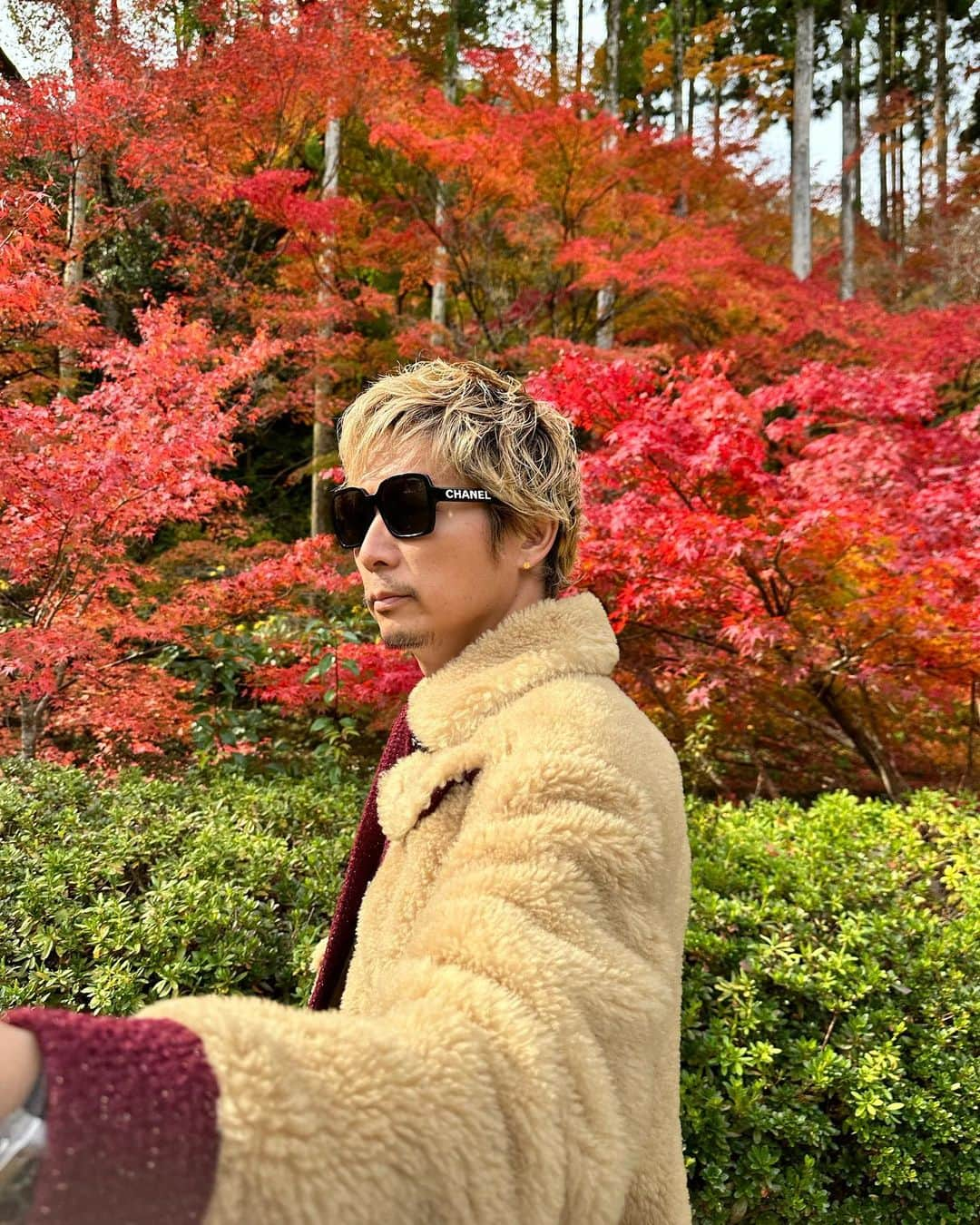 黒木啓司さんのインスタグラム写真 - (黒木啓司Instagram)「#京都 #紅葉🍁が綺麗  #紅葉」11月21日 13時22分 - keiji_papa_