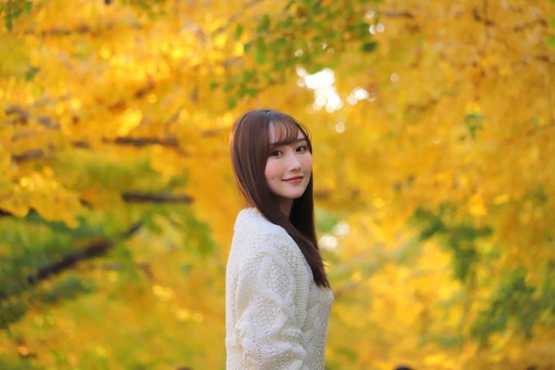 矢倉楓子さんのインスタグラム写真 - (矢倉楓子Instagram)「秋だね〜🍁✨  #昭和記念公園  #銀杏並木  #紅葉」11月21日 20時56分 - fufu_ice