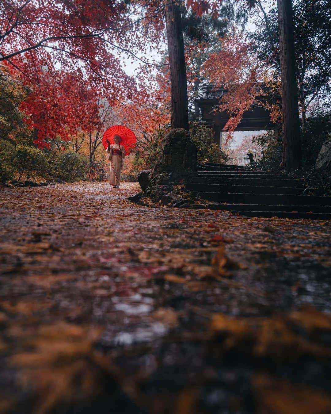 deepskyさんのインスタグラム写真 - (deepskyInstagram)「Rainy in Autumn' s Kyoto / 雨の秋の京都 . . #kyoto #authmn #京都 #紅葉  . . . #lonelyplanet #voyaged #stayandwonder  #awesomephotographers  #complexphotos  #sonyalpha  #roamtheplanet  #lovetheworld  #beautifuldestinations #landscapephoto #landscapelovers #travel  #roamearth #photography #earth #earthpix」11月21日 20時59分 - _deepsky