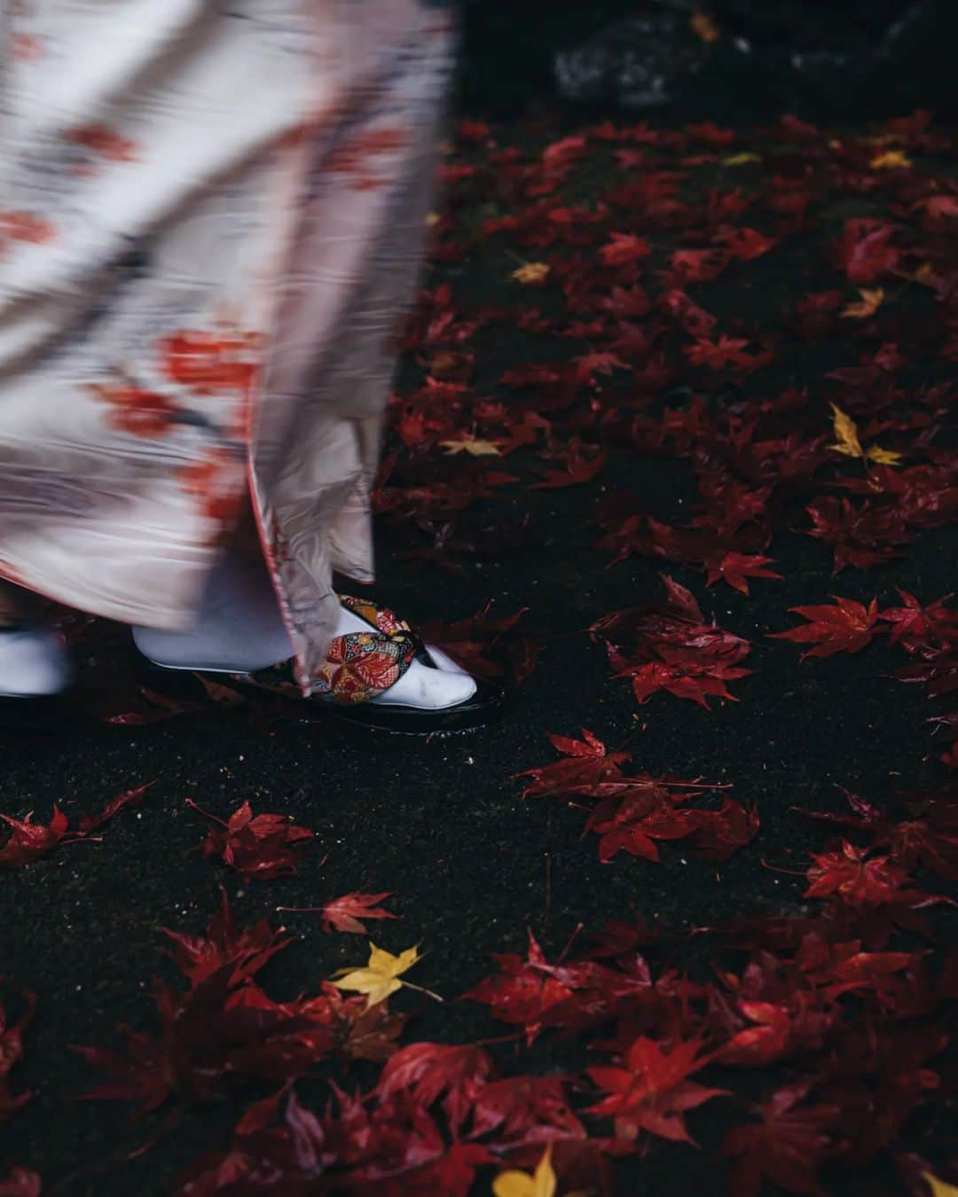 deepskyさんのインスタグラム写真 - (deepskyInstagram)「Rainy in Autumn' s Kyoto / 雨の秋の京都 . . #kyoto #authmn #京都 #紅葉  . . . #lonelyplanet #voyaged #stayandwonder  #awesomephotographers  #complexphotos  #sonyalpha  #roamtheplanet  #lovetheworld  #beautifuldestinations #landscapephoto #landscapelovers #travel  #roamearth #photography #earth #earthpix」11月21日 20時59分 - _deepsky