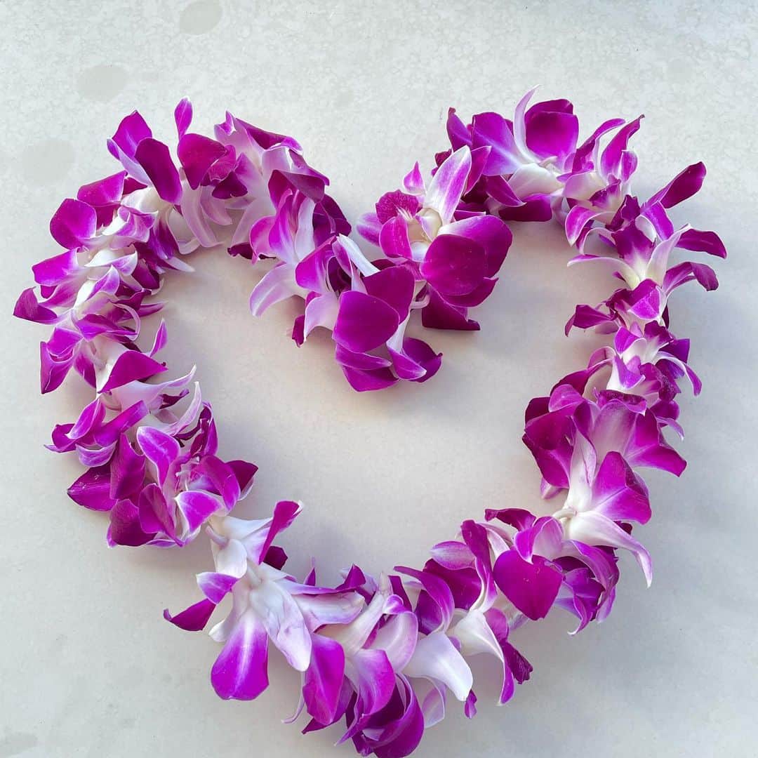 和央ようかさんのインスタグラム写真 - (和央ようかInstagram)「Back in Hawaii 🏝  ハワイに帰ってきました😊 飛行機、今日はかなり揺れました🥲  ちょっと、風を感じて、チャージします🙏  #takakoworldstylin🌎 #takakohawaiistylin🏝 #lifestyle #hawaiilife#ハワイ#ライフスタイルyokawao#和央ようか」11月22日 6時51分 - yokawao0215