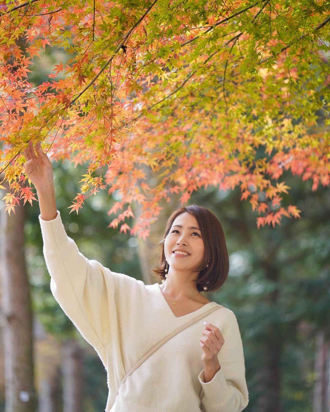 坂元美香さんのインスタグラム写真 - (坂元美香Instagram)「おはよー  ほんっと綺麗な色！  #もみじ #いちょう」11月22日 8時03分 - mika_saka