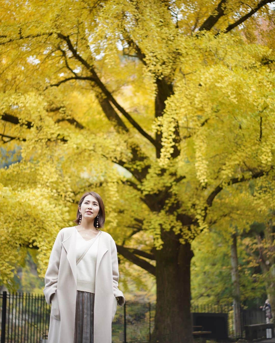 坂元美香さんのインスタグラム写真 - (坂元美香Instagram)「おはよー  ほんっと綺麗な色！  #もみじ #いちょう」11月22日 8時03分 - mika_saka