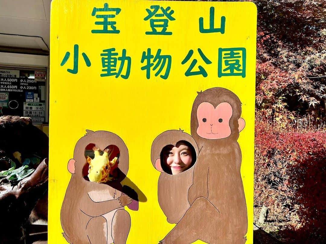 亜矢みつき（神谷充希）さんのインスタグラム写真 - (亜矢みつき（神谷充希）Instagram)「🐒🫶 ・ ・ 秩父でモルモットとお猿と戯れてきた💞 最高に癒されるやん、、✨ この動物園、毎日通いたい🦁 ・ ・ #宝登山小動物公園 #猿 #モルモット #たぬき #ホルモン #ビール #秩父 #長瀞」11月22日 12時32分 - ma.yamitsuki