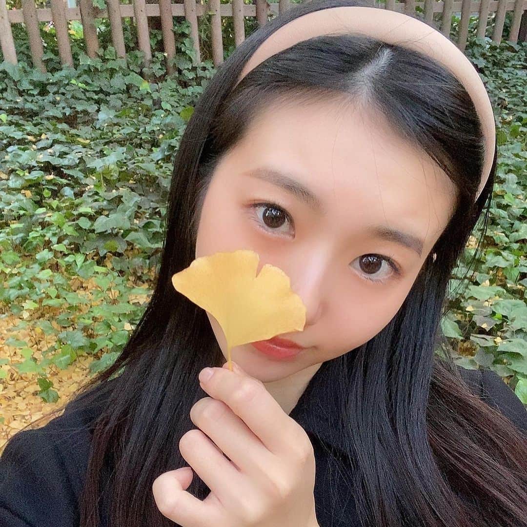 大島璃音さんのインスタグラム写真 - (大島璃音Instagram)「🌲🎗 何度見ても、紅葉していてもしていなくても好きな景色です♡ #紅葉 ...