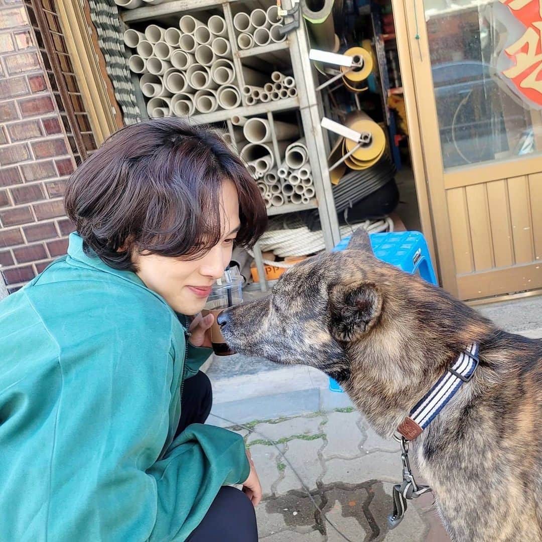 イム・シワンさんのインスタグラム写真 - (イム・シワンInstagram)「그 개는 사랑스럽다 . 우리는 곧 키스를 할 것이다.」11月22日 23時33分 - yim_siwang