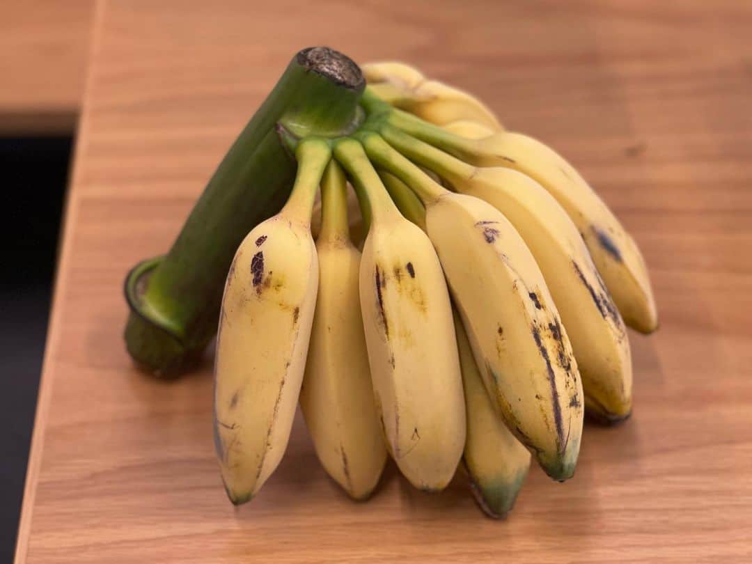 三浦瑠麗さんのインスタグラム写真 - (三浦瑠麗Instagram)「古川原農園から初めてとどいた横浜産露地バナナ。 アイスクリームバナナという品種で、バニラのような香りと甘さです。」11月23日 10時04分 - lullymiura