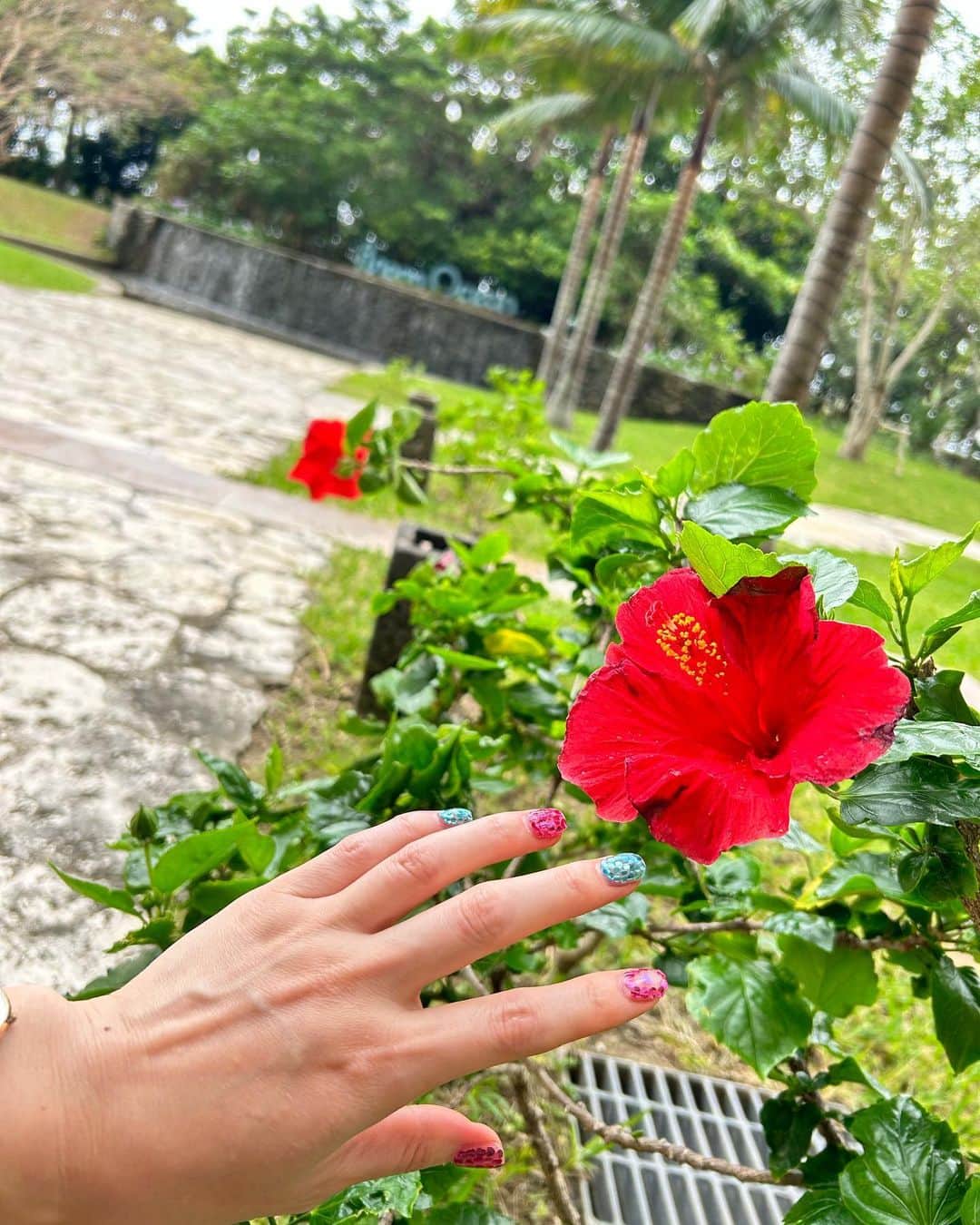 DJ MIYAさんのインスタグラム写真 - (DJ MIYAInstagram)「やっほ💖今日の東京は真冬かって寒さなので沖縄行きたーい💖2週間前行ったばかりですが♪  先日は沖縄・宜野湾の　『ムーンオーシャン宜野湾 ホテル&レジデンス』様に宿泊させて頂きました⭐︎✨🌟💫  @moonoceanginowan   【ホテル中庭やlobby編】  お部屋:エグゼクティブスイートルーム❤️10階  海を眺めながら広いリビングでゆったりとした時間を過ごせるのは南国ならでは。  お部屋から1階へお散歩へ。 ロビーにはお魚さんのいる水槽もあるよ🌈こっち向いてくれて可愛かったー🐟🐟  レセプション（Lobby）ではホテルの方が手作りしている展示コーナーもあって再びみれてほっこりしました〜💖  中庭へでると🌴椰子の木がいっぱいあってハワイみたい🌴🌺まさに南国リゾートですね。  レンタルバイク（有料）←自転車 もあるのでサイクリングとかに🚴‍♀️出かけても楽しそうでーすね🌺  ◉全室キッチン完備 ◉部屋数  全177室 ◉電子レンジ お部屋にあり ◉駐車場あり（無料143台） ◉Wifi有り ◉ランドリー有り（各階）  ぜひ予約サイトなどでもcheckして下さいね♪💖💖🌈  那覇空港から車で３０分という好立地！！  市バスの場合、うちどまり（宇地泊）やコンベンションセンターからもホテルまで徒歩で行けます♪ それに、スーパーが２つも近くにあるよ💖   房間→行政套房房間   該房型是本酒店最常見的房型。 在可眺望大海的寬敞起居室度過悠閒時光， 是只有在熱帶國家才能體驗到的體驗。  吹海風的感覺真好💖      充滿度假風情的客房  從10樓的大窗戶可以一覽宜野灣的絕景！   撮影日:11月8日 2022  #沖縄旅遊 #ムーンオーシャン宜野湾 #沖縄ホテル #宜野湾 #沖縄旅行 #沖縄 #沖縄旅行記 #タビジョ #ホカンス #ワーケーション #旅行記 #トラベラー #女子旅 #沖縄観光スポット #沖縄県 #ステイケーション #インフルエンサー #インスタグラマー #旅インスタグラマー #旅スタグラマー #リゾート #旅好き女子 #ホテル宿泊 #ホテル女子会 #国内旅行 #トラベルインフルエンサー #japantravel  #沖縄女子旅 #マイトリップMIYA」11月23日 16時28分 - dj_miya