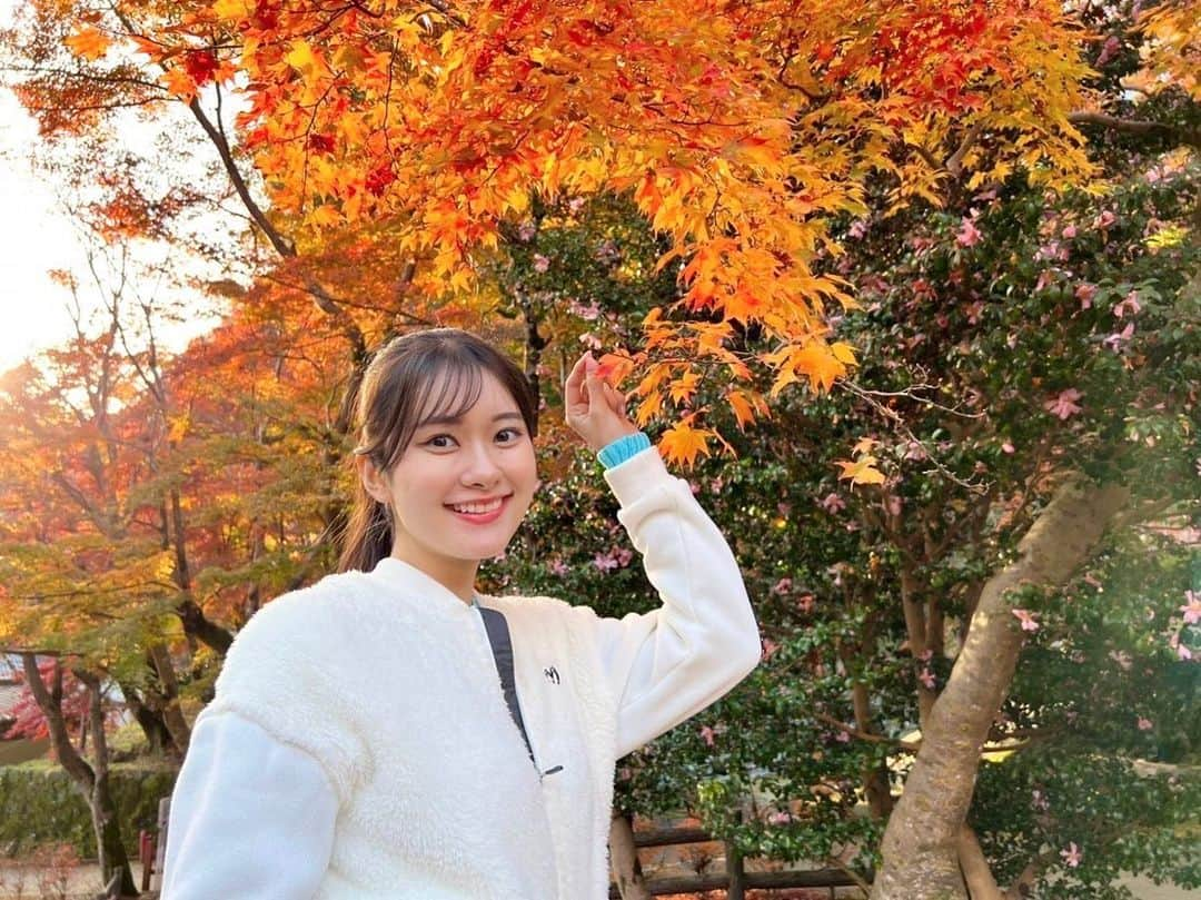 増田紗織さんのインスタグラム写真 - (増田紗織Instagram)「今週の「おはよう朝日土曜日です」では、美しすぎる紅葉をお届けいたします🍁  葉っぱが頭についちゃいました🍁✨  #おはよう朝日土曜日です #紅葉 #紅葉スポット」11月23日 19時56分 - saorimasuda_official