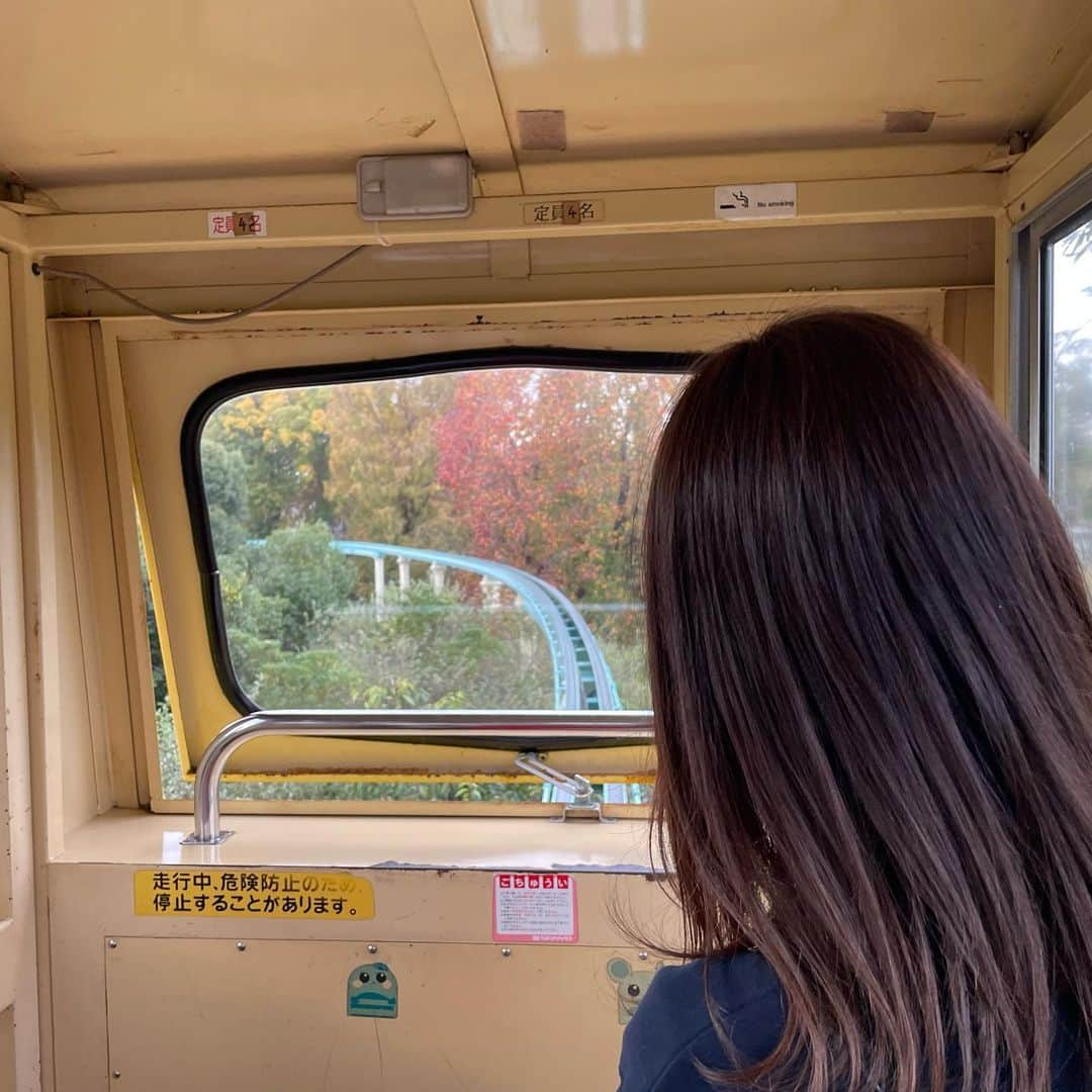 安村真奈さんのインスタグラム写真 - (安村真奈Instagram)「ちょっとだけ紅葉してた🍁」11月23日 21時20分 - yasumura_mana