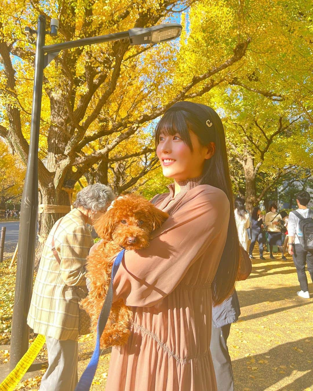 ちとせよしのさんのインスタグラム写真 - (ちとせよしのInstagram)「こないだのお散歩🍂 ぽかぽか陽気でおねむなねぎくん🐶♡ ののさんちのわんちゃんです🫶🏻 キュートすぎて癒されたあ…(〃’‐’〃)  まつ毛は @futuro_eyelash さんで根元からバッチリあげて頂きました👀✨  #神宮外苑いちょう並木 #いちょう並木 #ca4la #pinue #秋コーデ #ロングワンピース」11月24日 13時52分 - chitose_yoshino