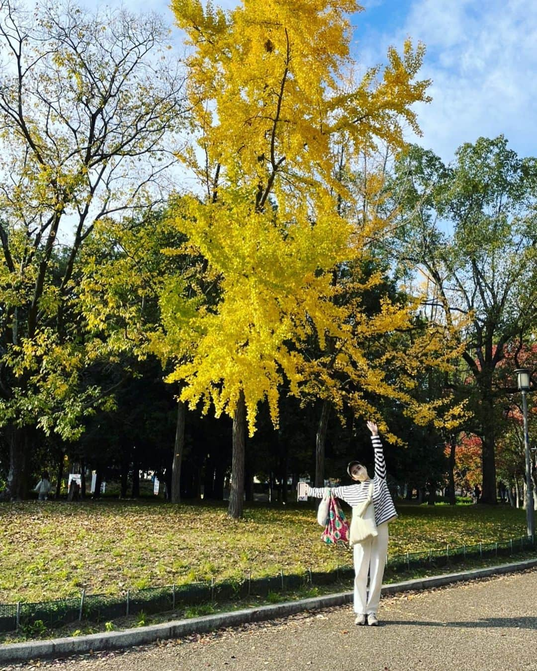 武田訓佳さんのインスタグラム写真 - (武田訓佳Instagram)「🍁 ・ 秋ひじき🐕‍🦺🧡 ・ ・ ぼちぼち秋を楽しんでる🥰 ・ って言ってるけど… もう冬だね🧣🧦 ・ 体調崩してないですか？🫖🤍 ・ ・ わたしは… 投稿がたまっております🙃 ・ ぼちぼちゆるゆるいきましょ💕 ・ ・ ・ #たけだの日常 #ひじ記 #秋散歩 #紅葉 #紅葉狩り #🍁 #ひじき #犬のいる暮らし #🐕‍🦺 #🐶 #いぬすたぐらむ #ミックス犬 #mix犬 #ピンプー #ミニチュアピンシャー #トイプードル #イッヌ #くっつき虫 #つけるよね🫠 #大冒険 #のち #丸洗い #🛁 #🤫」11月24日 17時05分 - kunika0117