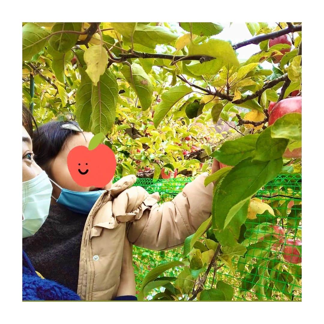 加藤沙知さんのインスタグラム写真 - (加藤沙知Instagram)「りんご狩り🍎  体重およそ18kgの姪っ子。  彼女の手が、りんごに届く所まで抱っこするのに必死な叔母は、私です。  筋トレしようかな。笑  #りんご#りんご狩り #ぐんま名月 #信濃ゴールド が好みでした🤭 #姪っ子 #休暇#沙知のお暇」11月24日 20時05分 - mrt.kato