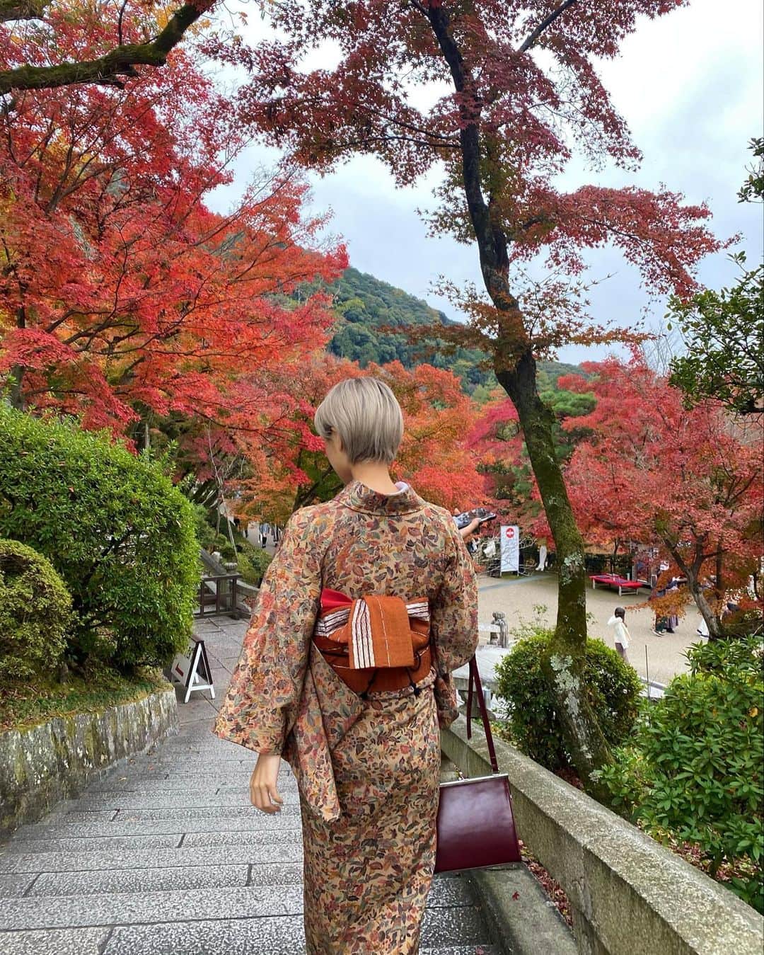 マリカさんのインスタグラム写真 - (マリカInstagram)「@irodorikyoto  着物レンタルして清水寺散策🍁🍂  いつも選ぶの早い私なんやけど @irodorikyoto さんの着物が ドンピシャすぎて悩んだ、、🥺❤️  清水寺近くやから観光も もってこいやで💕 カップルでの着付けも お客さん沢山居たから 羨ましかった😂😂🙌💥  ちなみにお昼はすぐ近くの ラーメン屋 @issunbousi_kyoto に いって西京味噌ラーメン食べたよ🍜  もちもち麺でござりました✨ めっちゃ近かったから 着付け前でも後でもいってみて💥  #着物 #祇園 #京都 #紅葉 #紅葉デート #ハイトーンショート #レトロ着物 #清水寺 #京都食べ歩き #関西モデル #ハイトーン #サロモ」11月24日 21時03分 - marika_h1127