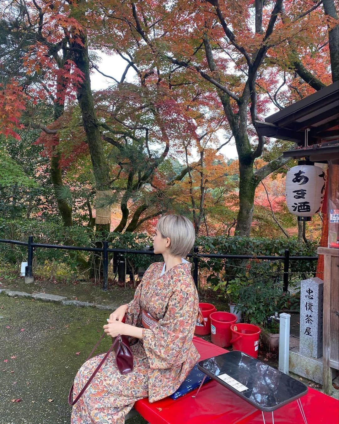 マリカさんのインスタグラム写真 - (マリカInstagram)「@irodorikyoto  着物レンタルして清水寺散策🍁🍂  いつも選ぶの早い私なんやけど @irodorikyoto さんの着物が ドンピシャすぎて悩んだ、、🥺❤️  清水寺近くやから観光も もってこいやで💕 カップルでの着付けも お客さん沢山居たから 羨ましかった😂😂🙌💥  ちなみにお昼はすぐ近くの ラーメン屋 @issunbousi_kyoto に いって西京味噌ラーメン食べたよ🍜  もちもち麺でござりました✨ めっちゃ近かったから 着付け前でも後でもいってみて💥  #着物 #祇園 #京都 #紅葉 #紅葉デート #ハイトーンショート #レトロ着物 #清水寺 #京都食べ歩き #関西モデル #ハイトーン #サロモ」11月24日 21時03分 - marika_h1127