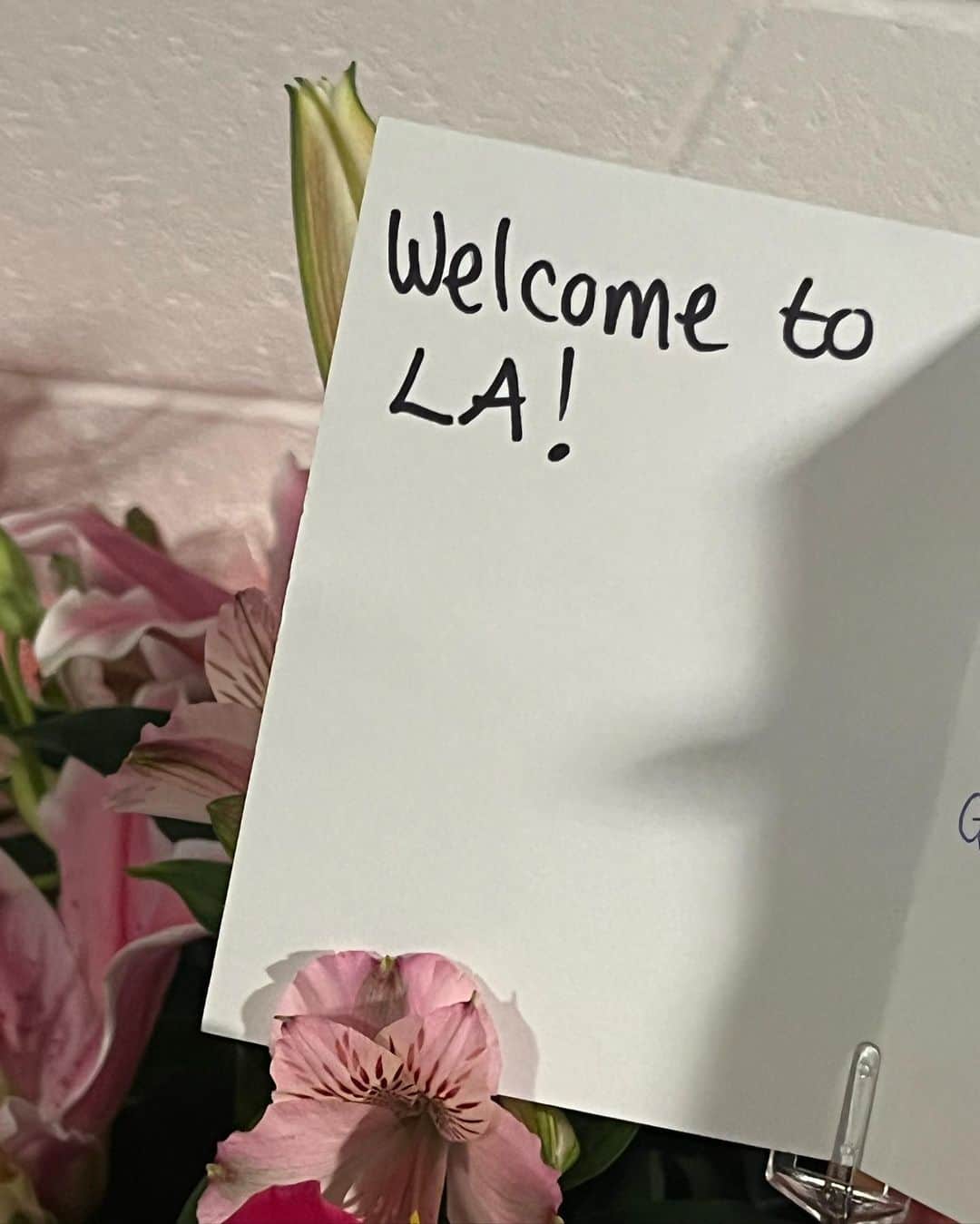 ロゼさんのインスタグラム写真 - (ロゼInstagram)「Lala land.. what a dream. I cannot get over how wild LA was. So happy we got to end our US dates in LA and I would like to say a big thank you all the staff, dancers, band and of course our members for all the hard work that was put into completing our US dates. Love u all. Europe you’re up next!!! Get ready to party ✌🏼」11月25日 10時39分 - roses_are_rosie