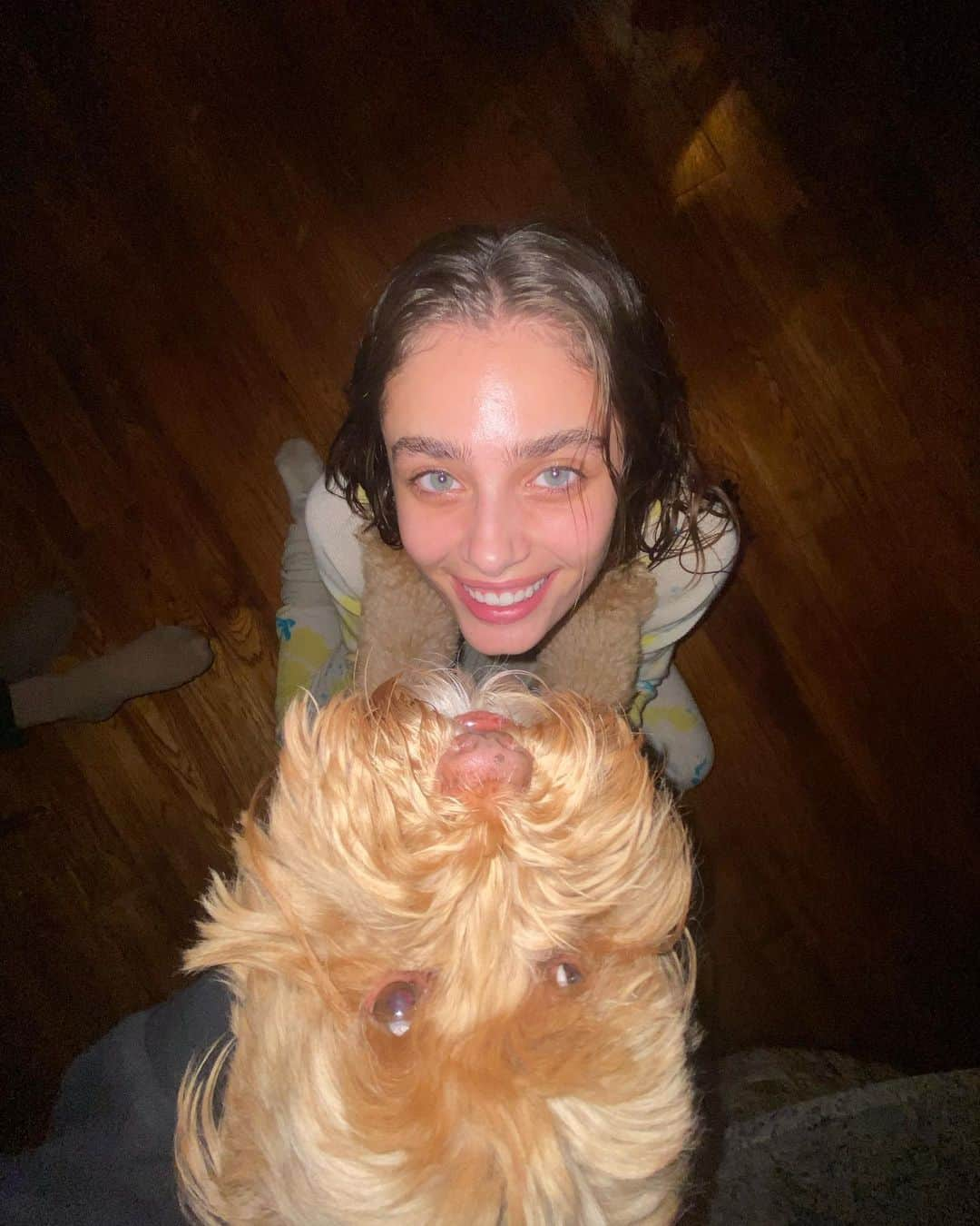 テイラー・ヒルさんのインスタグラム写真 - (テイラー・ヒルInstagram)「Thanksgiving with the star of the show @tatetheminidoodle 🐶💕😊」11月25日 10時40分 - taylor_hill