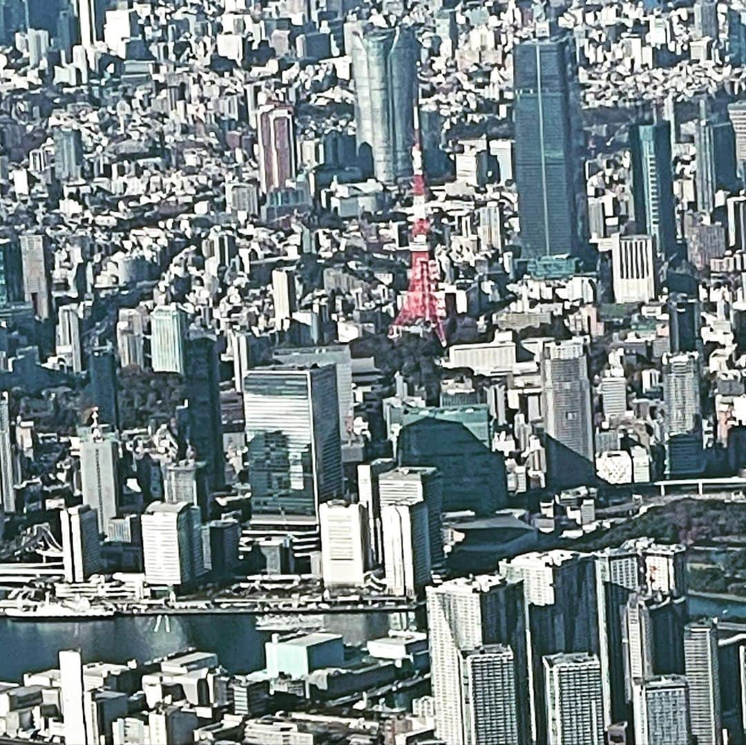 辻仁成さんのインスタグラム写真 - (辻仁成Instagram)「皆さん、お世話になりました。 富士山が見送ってくれました。 赤いのは東京タワー スカイツリーさんも見送ってくれました、笑 また会う日まで、、、  空から見た絶景の富士山をどうぞ！」11月25日 15時22分 - tsujihitonari