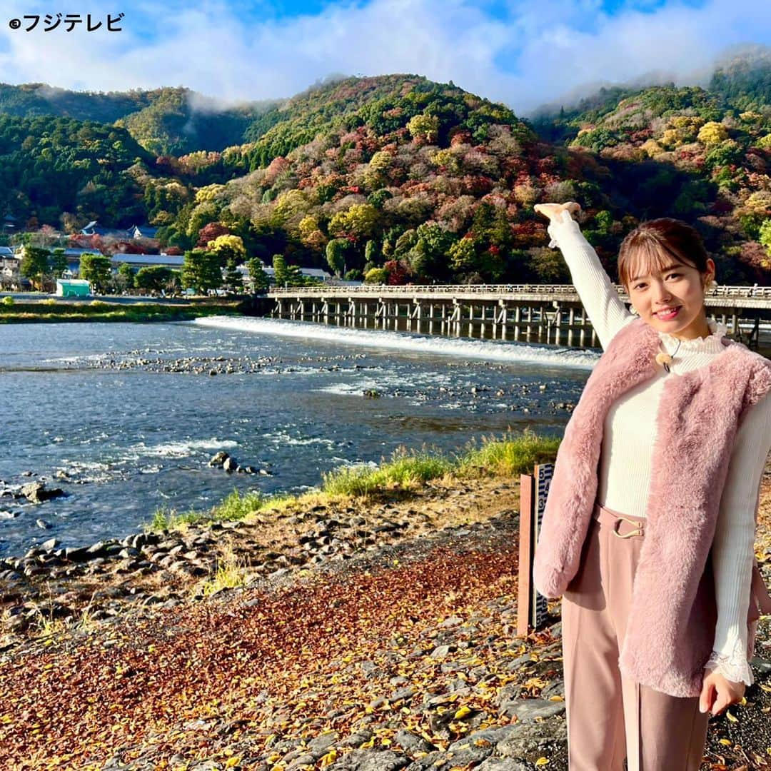 フジテレビ「めざましテレビ」さんのインスタグラム写真 - (フジテレビ「めざましテレビ」Instagram)「．  明日は 京都出身の谷尻萌キャスターが 2週連続で秋に楽しめる京都の 注目スポットを紹介❣️  第1弾は嵐山エリア⛰️  列車🚂やジップラインから見る紅葉🍁など 今しか見られない絶景が盛りだくさん✨ さらに抹茶🍵を使った京都らしい絶品スイーツも！ 京都の注目スポットが満載です☀️ お見逃しなく⏰🎶  #めざましどようび  #谷尻萌」11月25日 18時08分 - mezamashi.tv