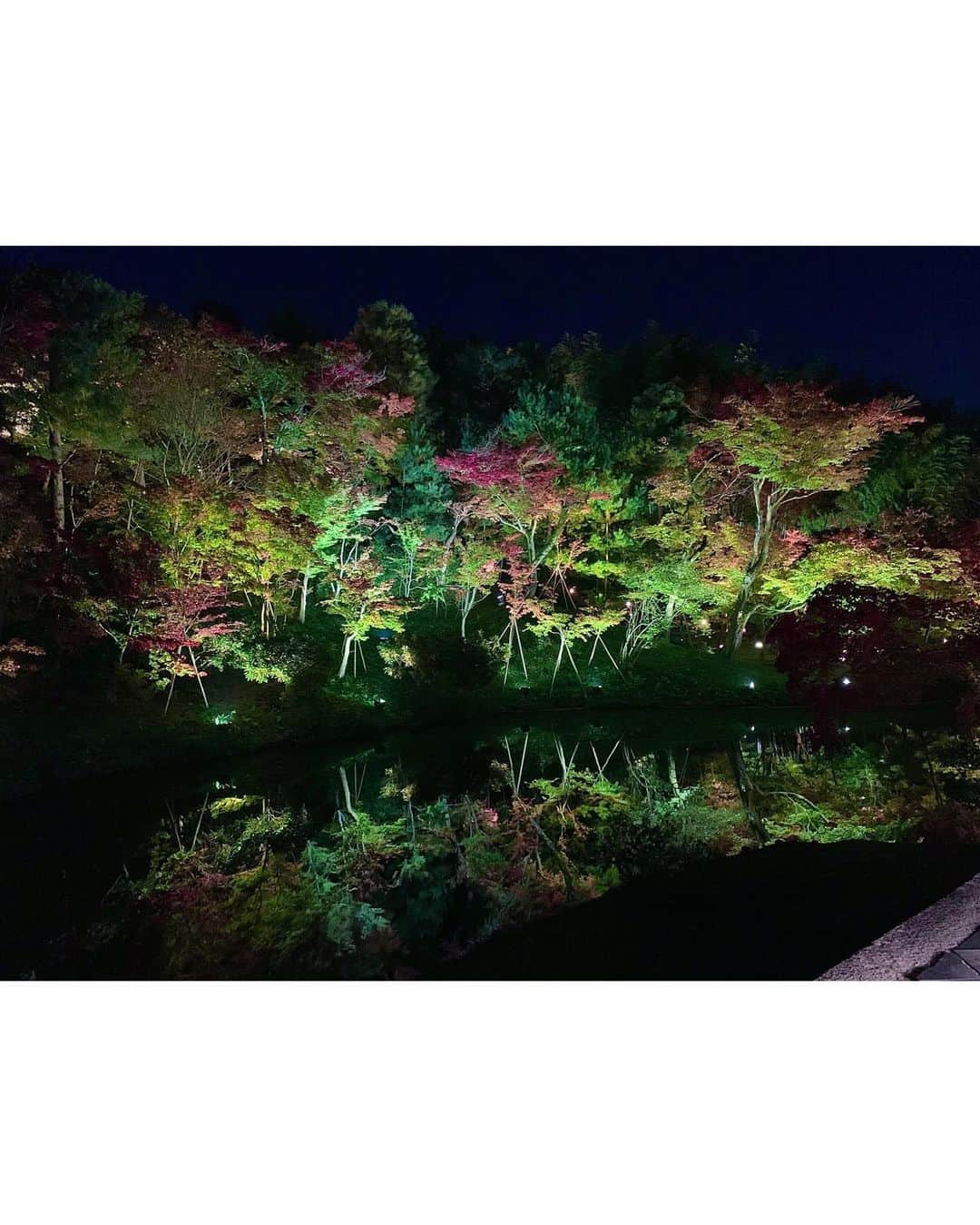 山崎みどりさんのインスタグラム写真 - (山崎みどりInstagram)「京都旅行🏯🍁  紅葉を観に🍁🍁  お昼の紅葉も綺麗だったぁ🍁  夜の紅葉も綺麗と聞いて 高台寺に夜の紅葉を観に行くと 鏡面で映る紅葉が美しく、 うっとりしました🥺♥️  次は 春の桜満開時期か 秋の紅葉時期に お着物で散策したいな👘🌸🍁  夜の紅葉観た後は..夜ご飯♡  京都のdinnerは 完全一見さんお断りの和食屋さん ［遠藤］さん @gion.endo   京都の方にご招待頂きまして初めて行きました♡ @imr_711  芸能人や著名人がたくさんいらっしゃるお店とも聞きました。  一口食べて え、美味しい✨ 納得..🥺と思った♡  メニューが全部美味しそうなのばっかりで 悩みまくってチョイスしたら 全部美味しい🥹✨✨  なにもかも唸るほど美味しくて 旬のものをたくさん美味しく頂きました🤤  ご馳走様でした☺️  ちなみに 昼の紅葉の時のCoordinateは @sheinofficial   ✔︎DAZY Lapel Neck PU Leather Jacket 商品ID［11396770］サイズS  ✔︎DAZY High Waist Check Wide Leg Plaid Pants 商品ID［10322840］サイズS  📌Coupon Code【midori】 ～¥5,999 ...15%OFF🪄 ¥6,000円〜 ...20%OFF🪄 @shein_japan   ────────────────────────── #京都旅行#京都#kyoto#紅葉#もみじ#🍁#京都観光 #高台寺#kodaiji #Japan#japantravel #japantrip #japan_of_insta #遠藤#祇園遠藤#gionendo」11月26日 17時12分 - midori_yamasaki_