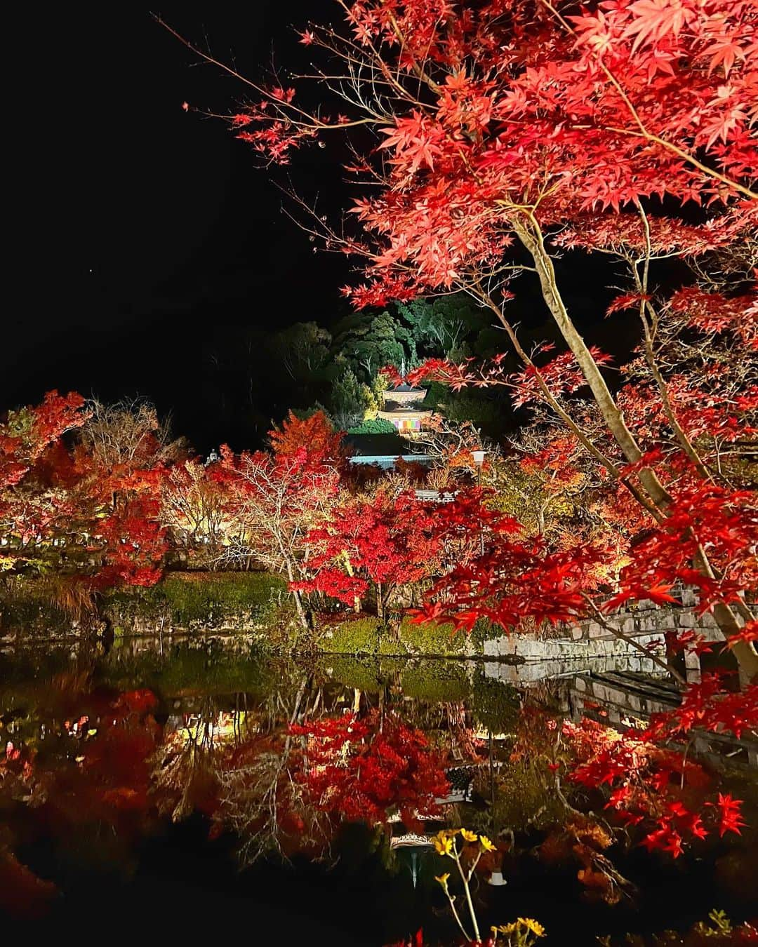 ののさんのインスタグラム写真 - (ののInstagram)「. 紅葉より団子みたいな写真だけど、永観堂の紅葉のライトアップ綺麗だったな🍁  お茶屋さんではみたらし団子と抹茶注文したよ🤤  #永観堂#永観堂ライトアップ#永観堂禅林寺#禅林寺#紅葉#紅葉スポット#紅葉狩り#紅葉ライトアップ#京都観光#京都旅行#京都グルメ#京都紅葉#そうだ京都行こう#そうだ京都へ行こう#ステュディオス#コート#kyoto#autumn#eikando#studious#dessindemode」11月26日 19時11分 - nonoko0309